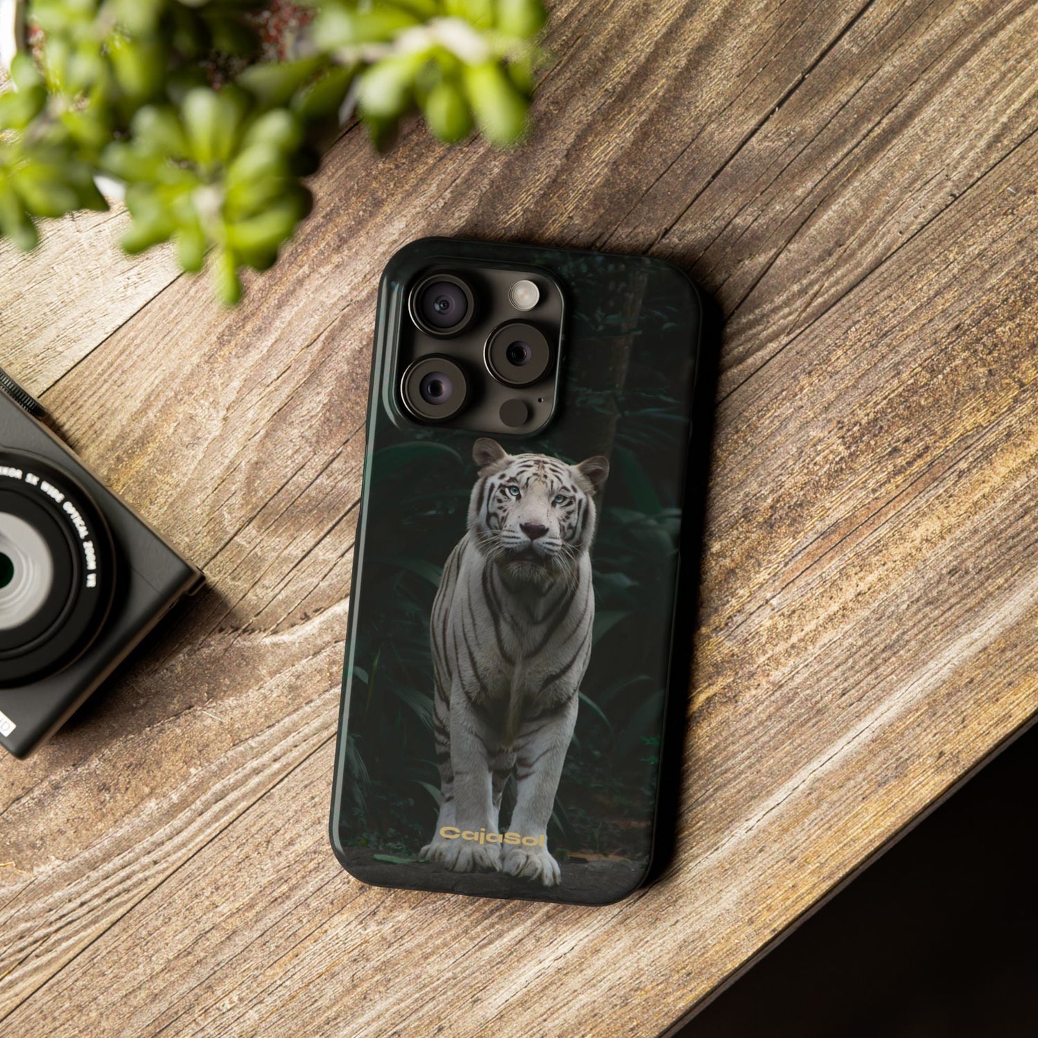 Animal Kingdom Collection