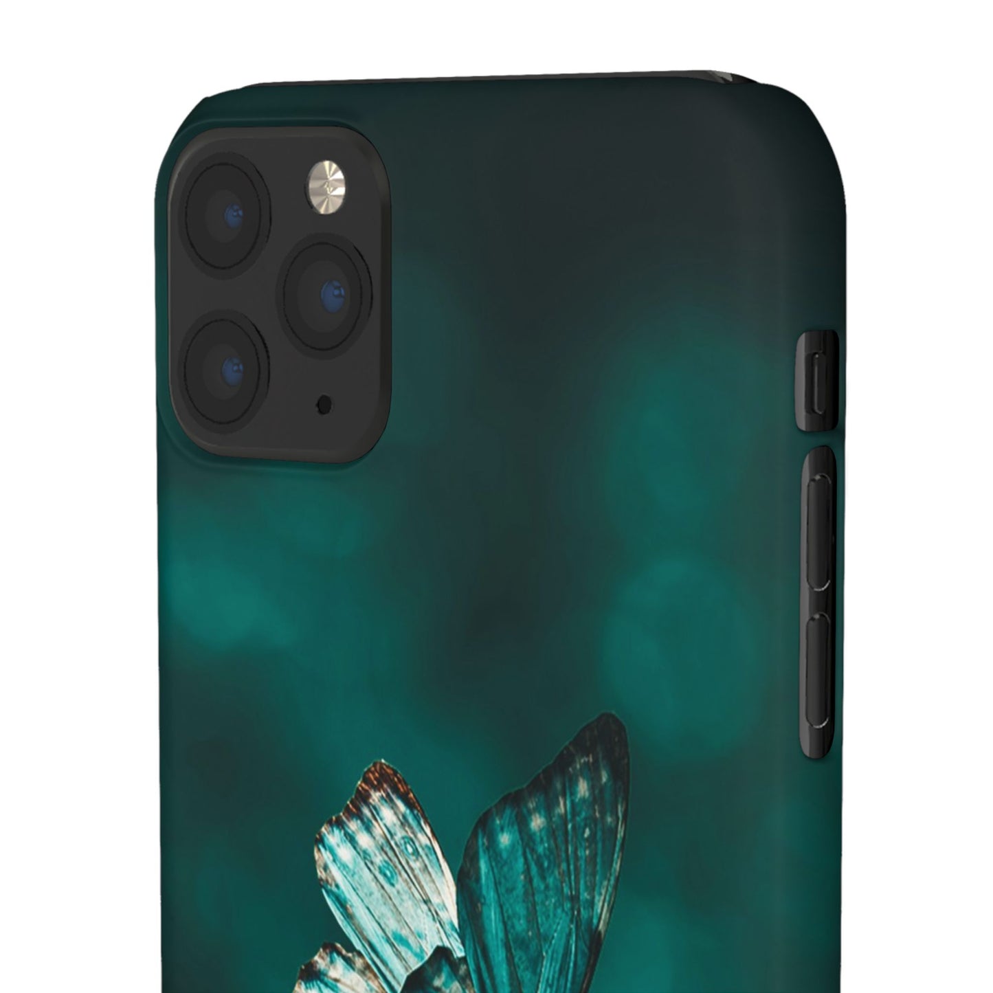 Butterfly Cajasol - Perfect for Nature Lovers