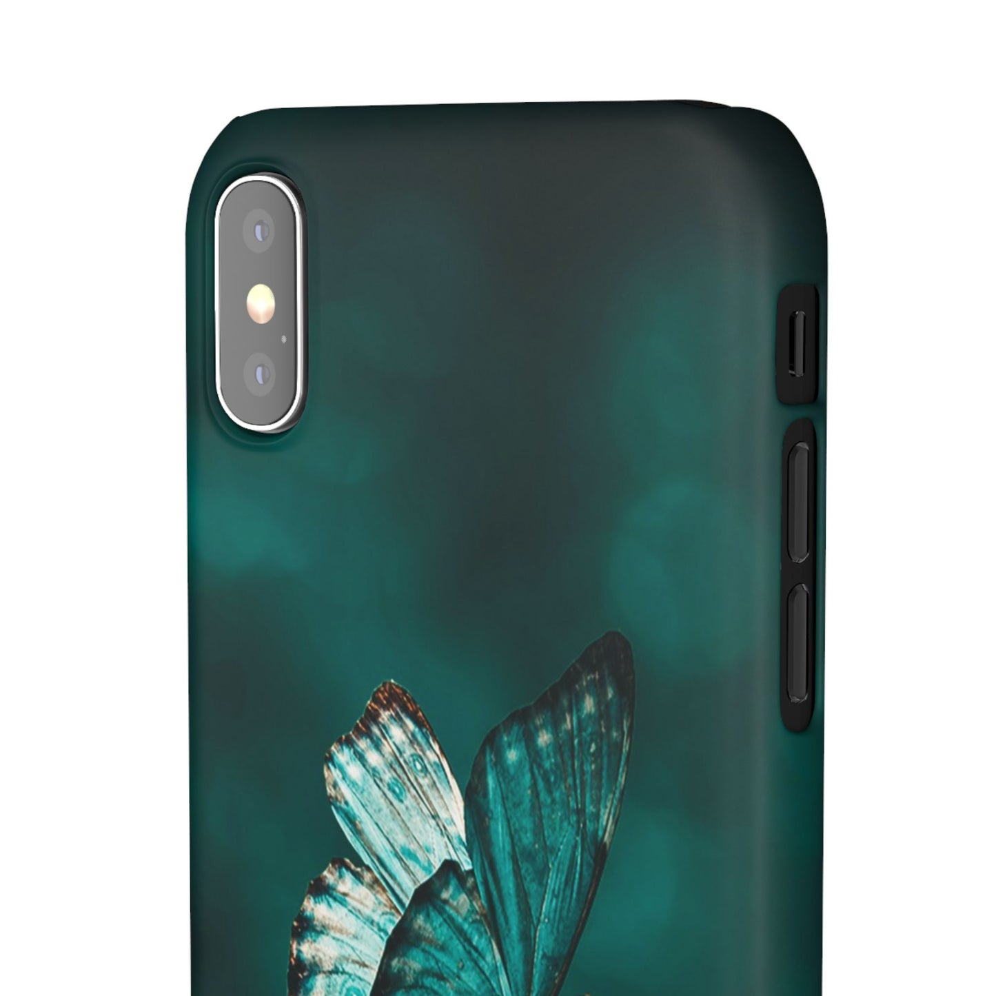 Butterfly Cajasol - Perfect for Nature Lovers