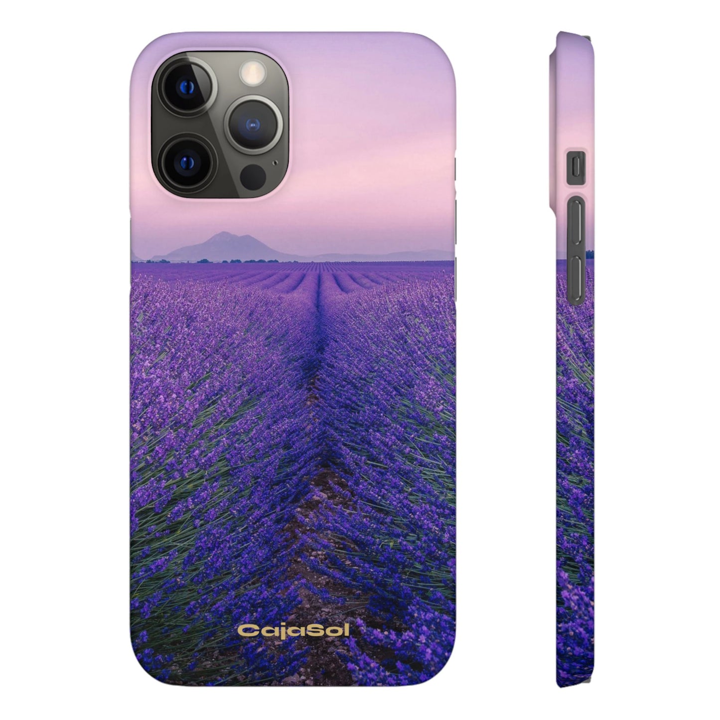 Lavender Fields Cajasol - A Floral Touch for Nature Lovers