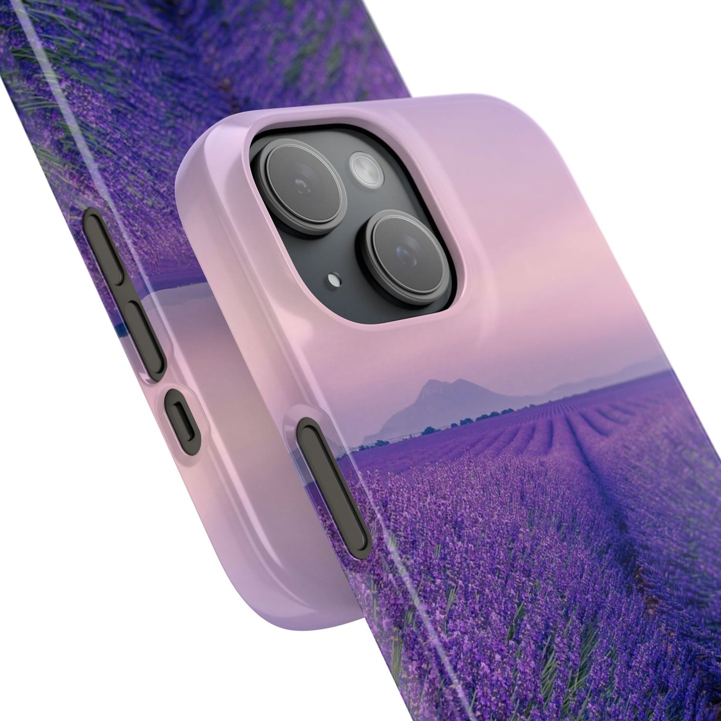 Lavender Fields Cajasol - A Floral Touch for Nature Lovers