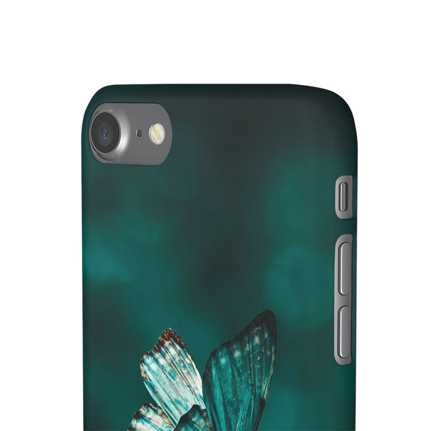 Butterfly Cajasol - Perfect for Nature Lovers