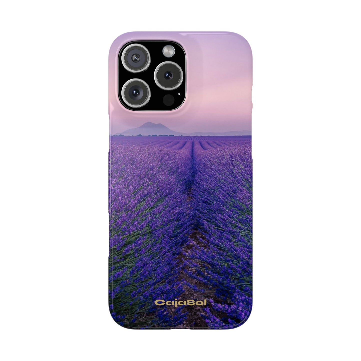 Lavender Fields Cajasol - A Floral Touch for Nature Lovers