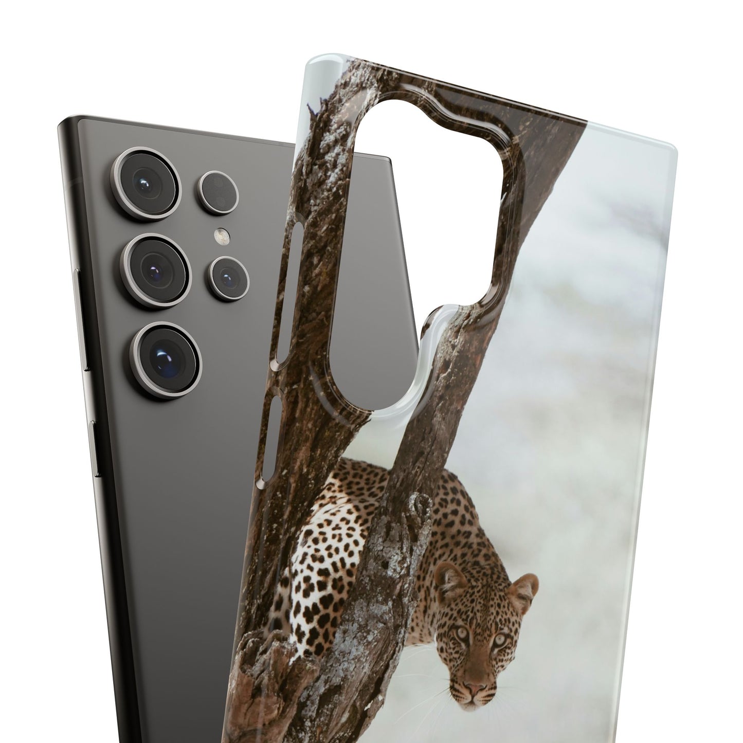 Leopard Cajasol - Wildlife Vibes