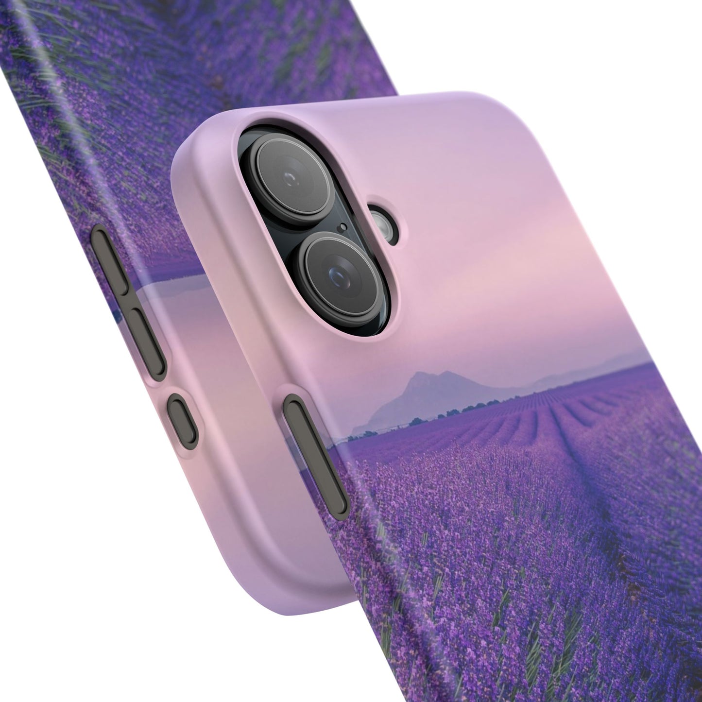 Lavender Fields Cajasol - A Floral Touch for Nature Lovers