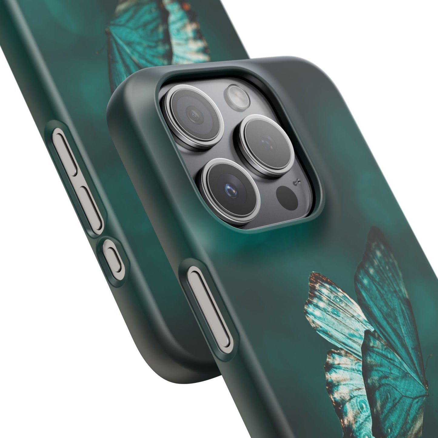 Butterfly Cajasol - Perfect for Nature Lovers