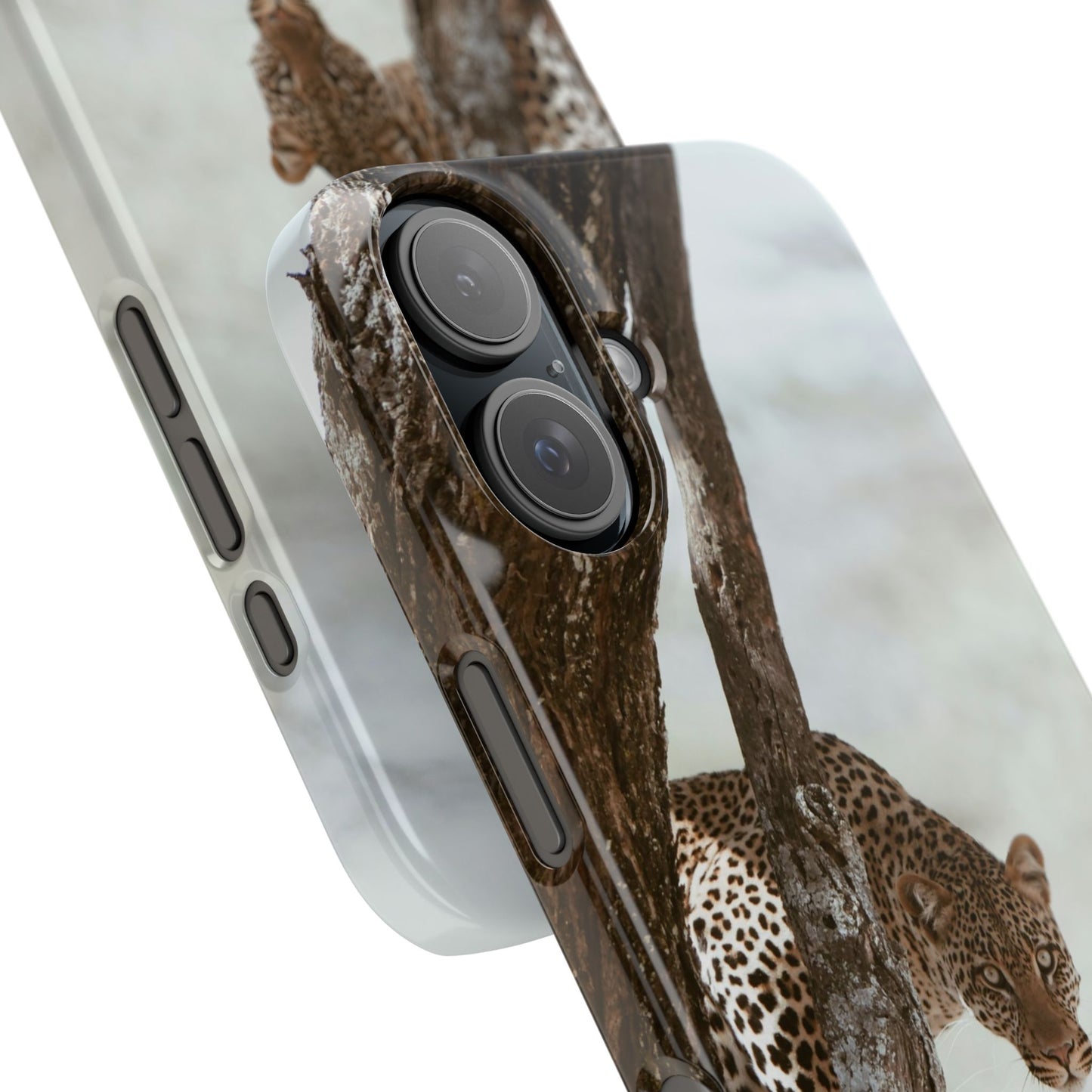 Leopard Cajasol - Wildlife Vibes