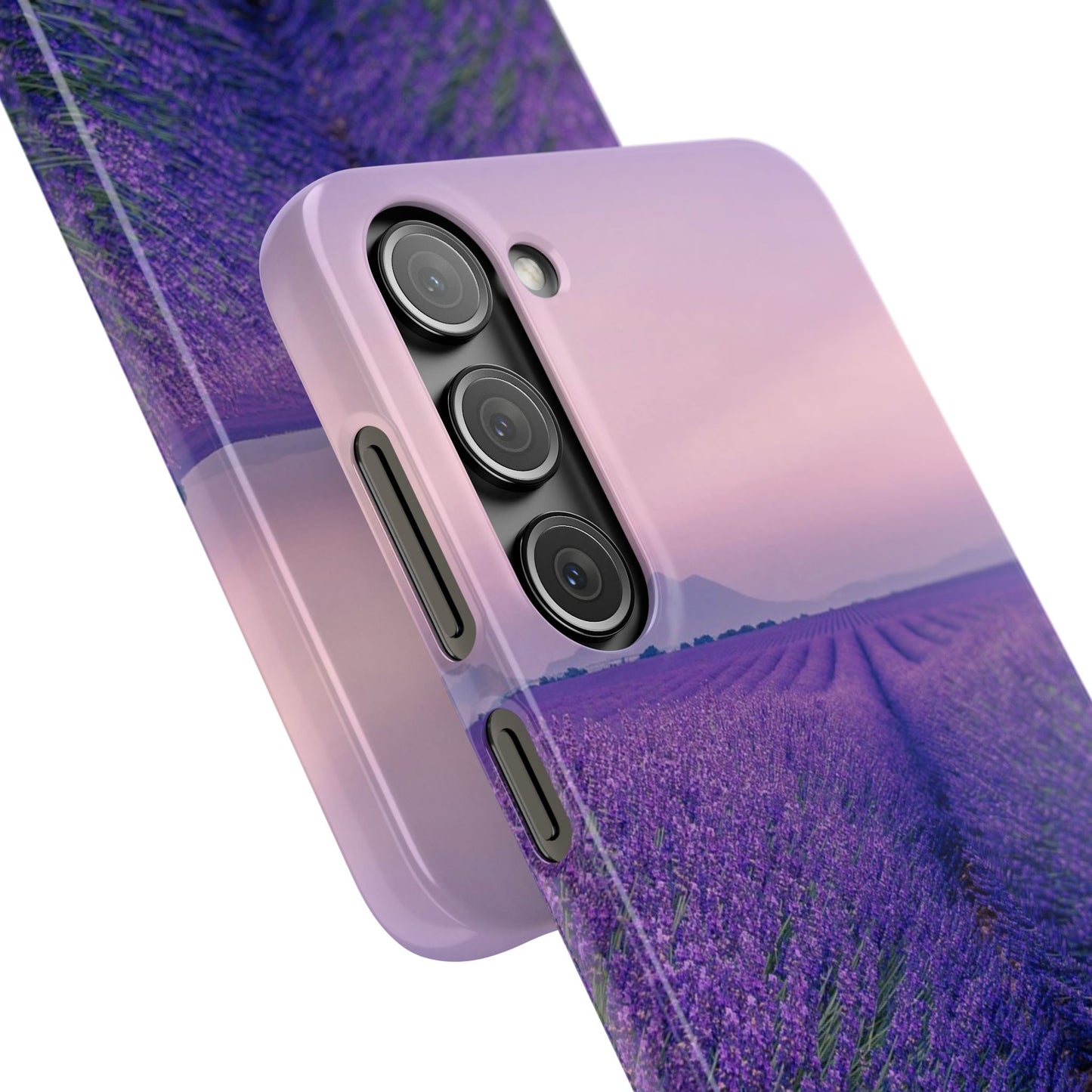 Lavender Fields Cajasol - A Floral Touch for Nature Lovers