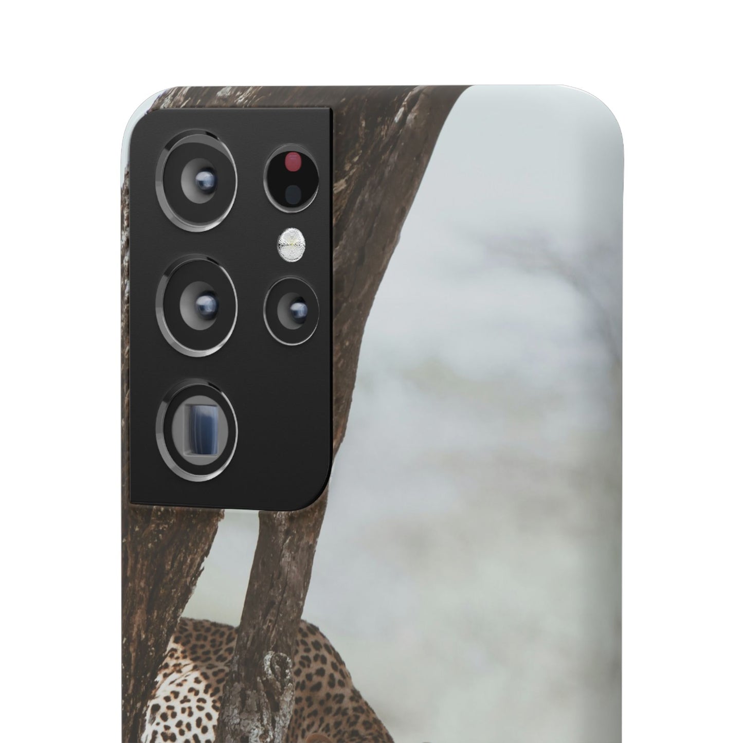 Leopard Cajasol - Wildlife Vibes