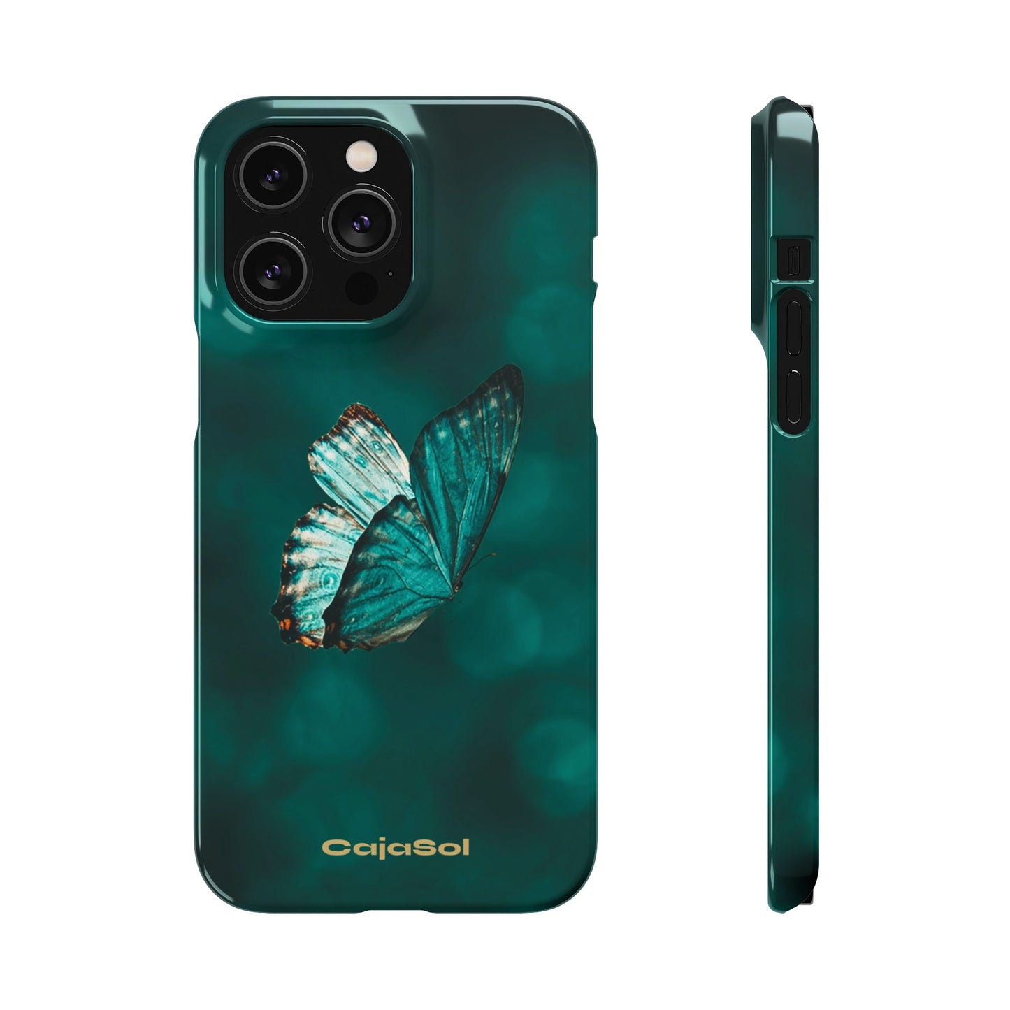 Butterfly Cajasol - Perfect for Nature Lovers