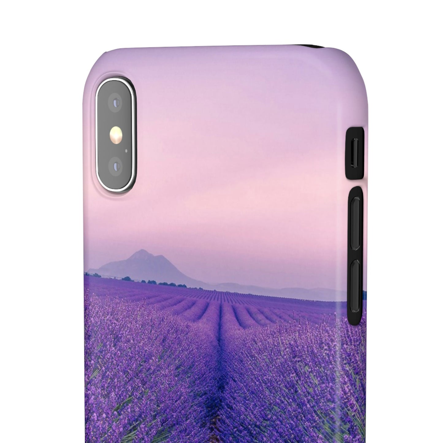 Lavender Fields Cajasol - A Floral Touch for Nature Lovers