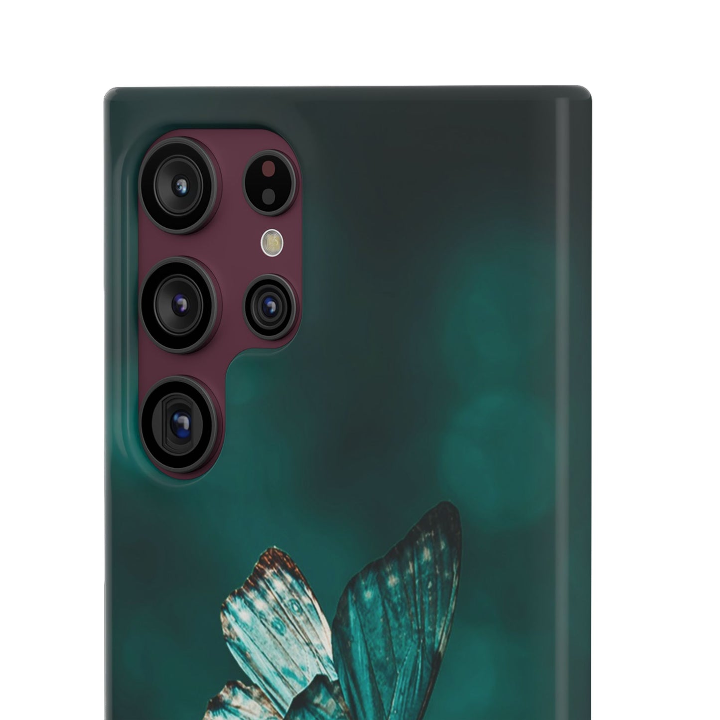 Butterfly Cajasol - Perfect for Nature Lovers