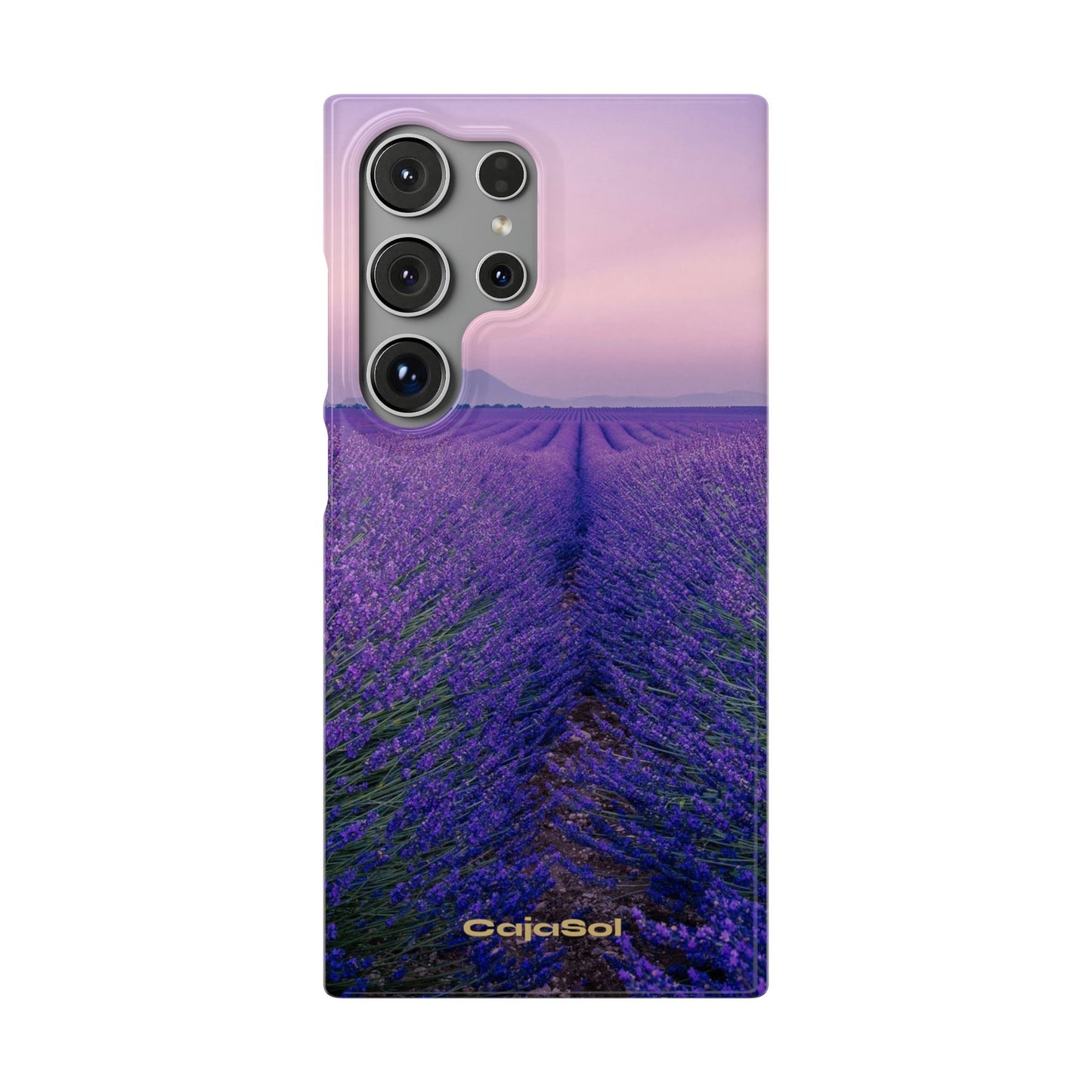 Lavender Fields Cajasol - A Floral Touch for Nature Lovers