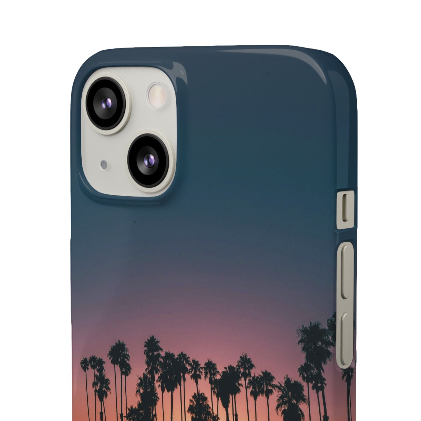 Tropical Sunset Cajasol - Vibrant Palm Tree
