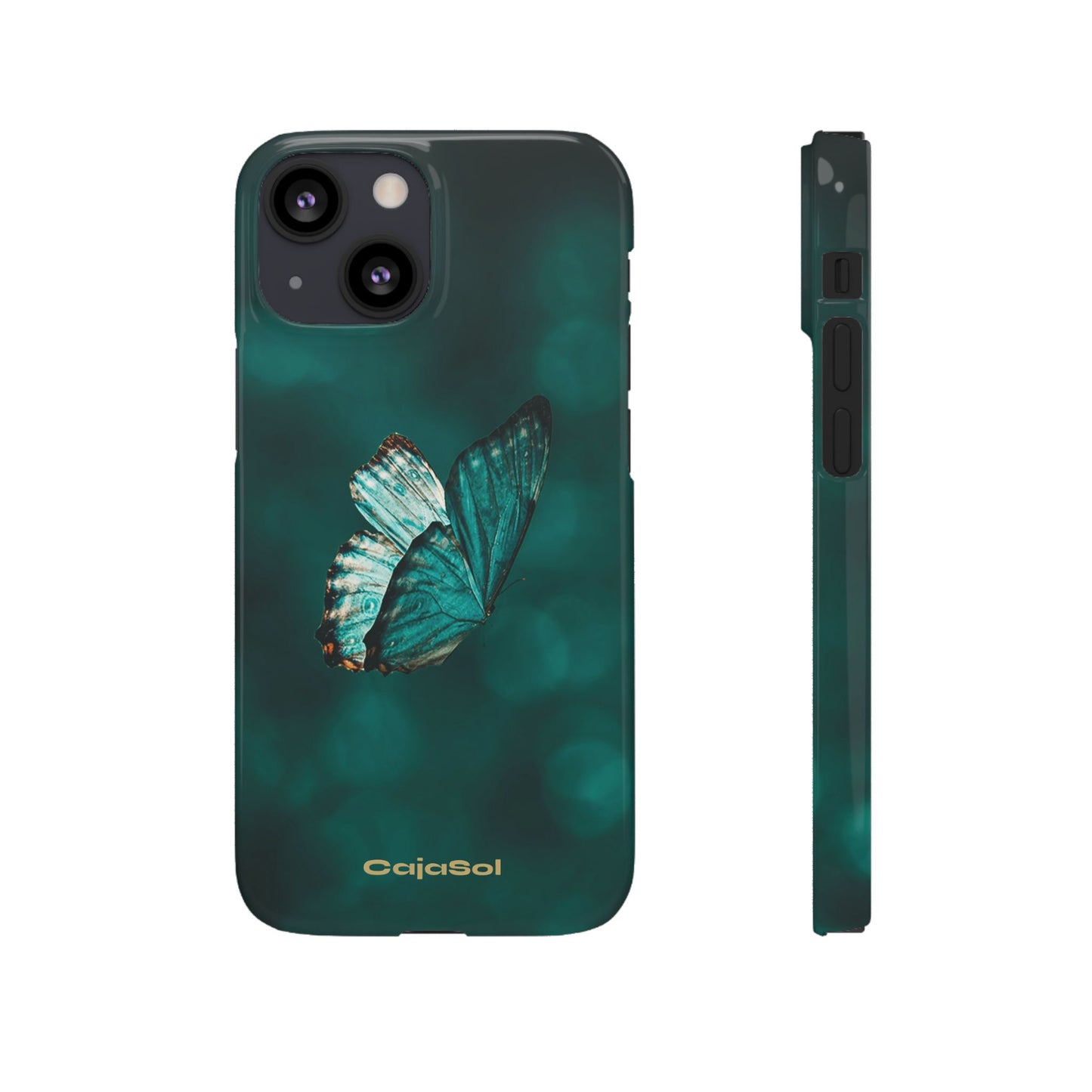 Butterfly Cajasol - Perfect for Nature Lovers