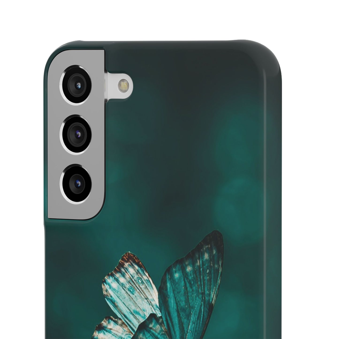 Butterfly Cajasol - Perfect for Nature Lovers