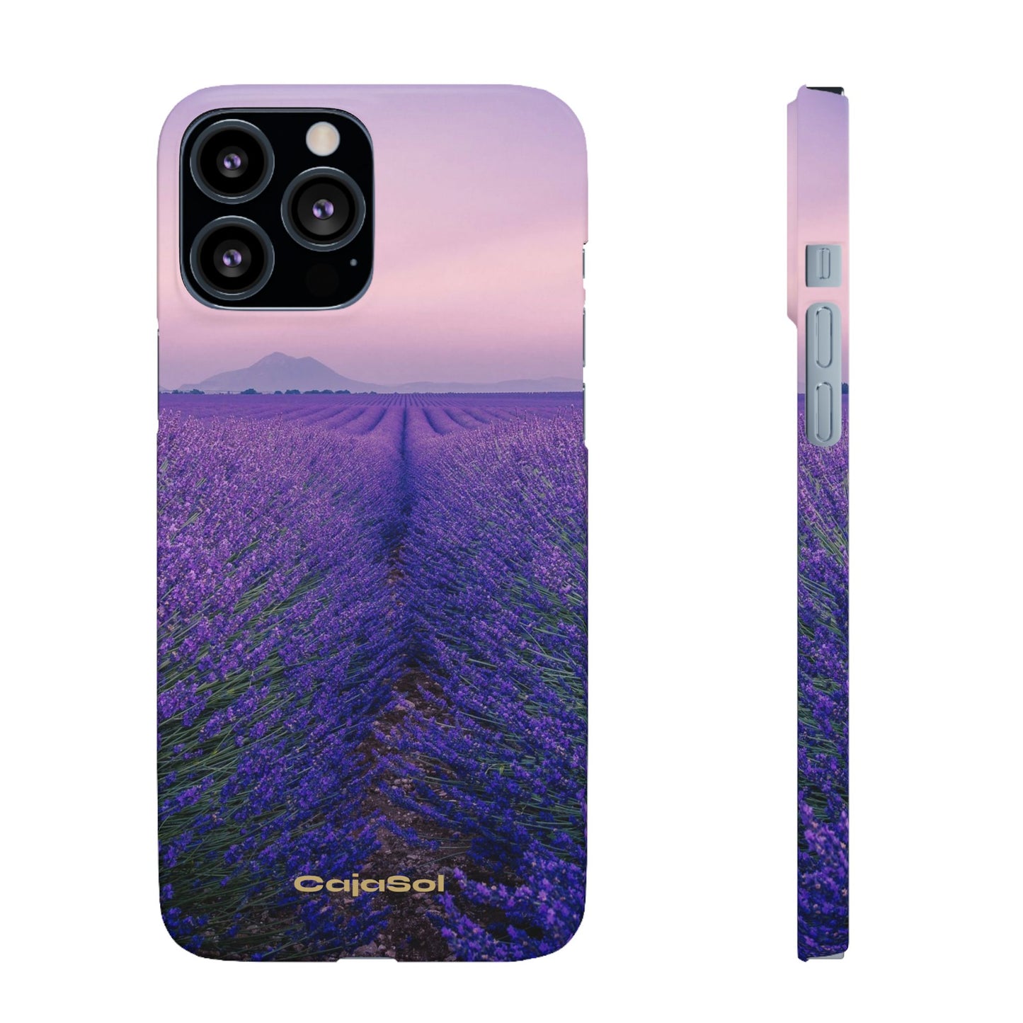 Lavender Fields Cajasol - A Floral Touch for Nature Lovers