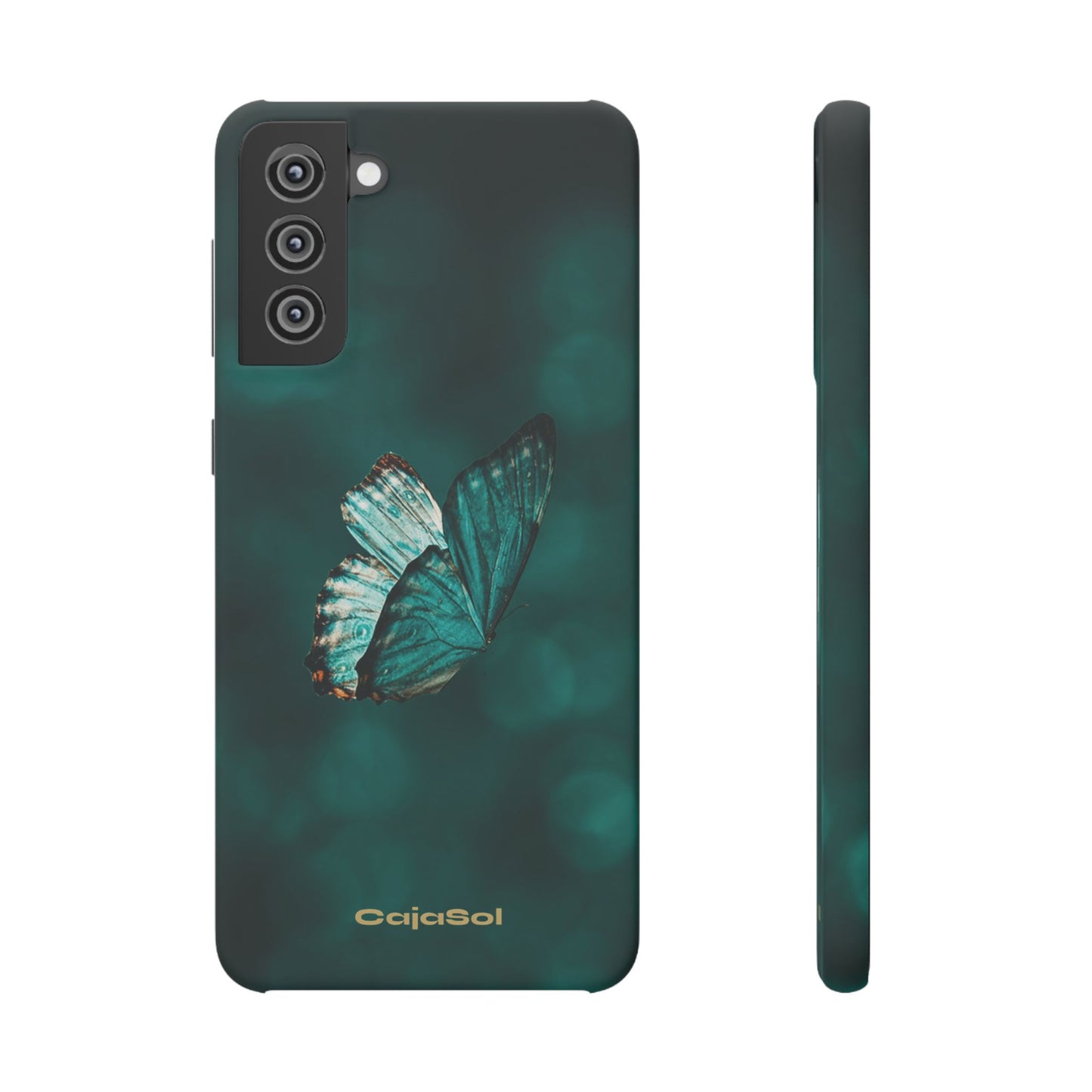 Butterfly Cajasol - Perfect for Nature Lovers
