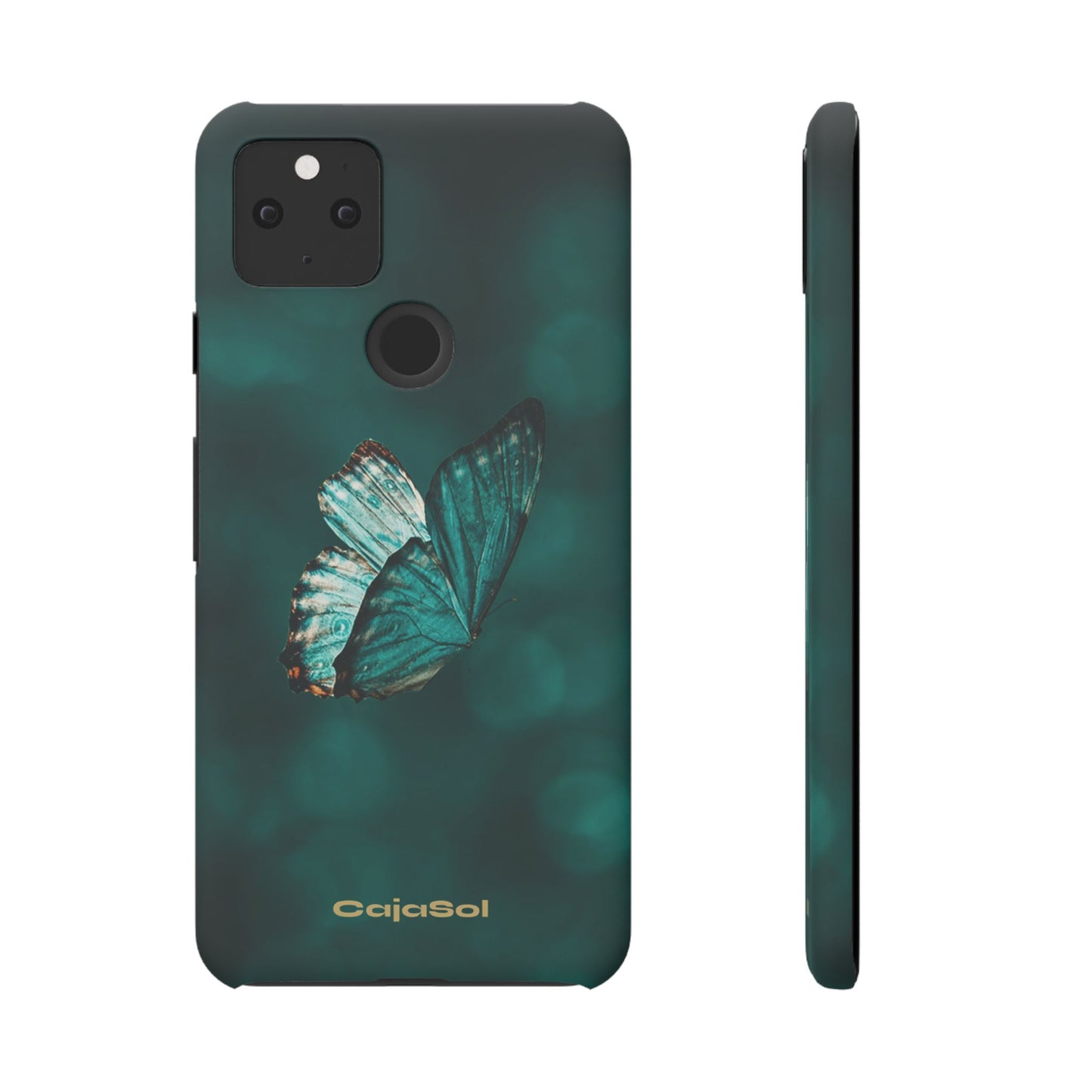 Butterfly Cajasol - Perfect for Nature Lovers