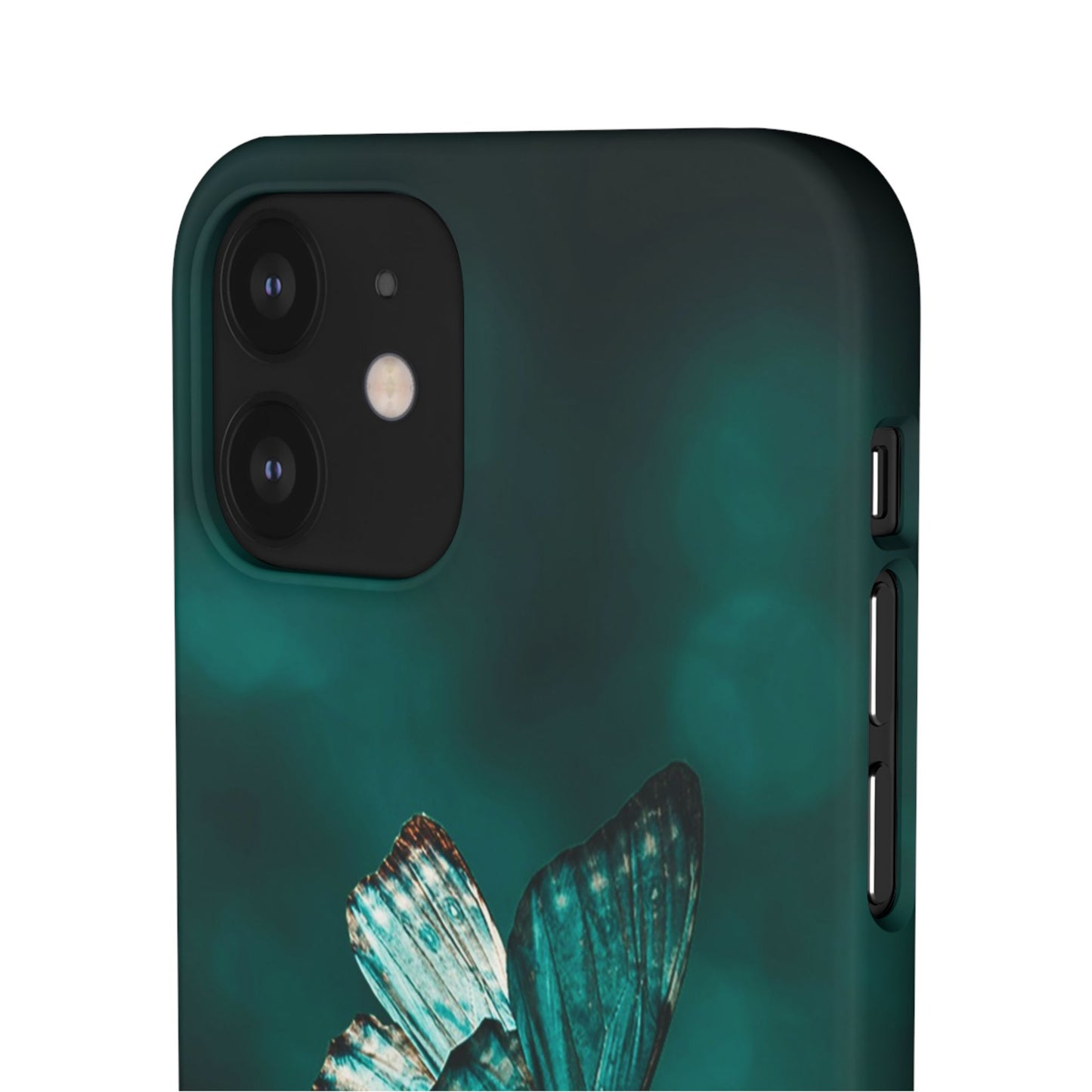 Butterfly Cajasol - Perfect for Nature Lovers