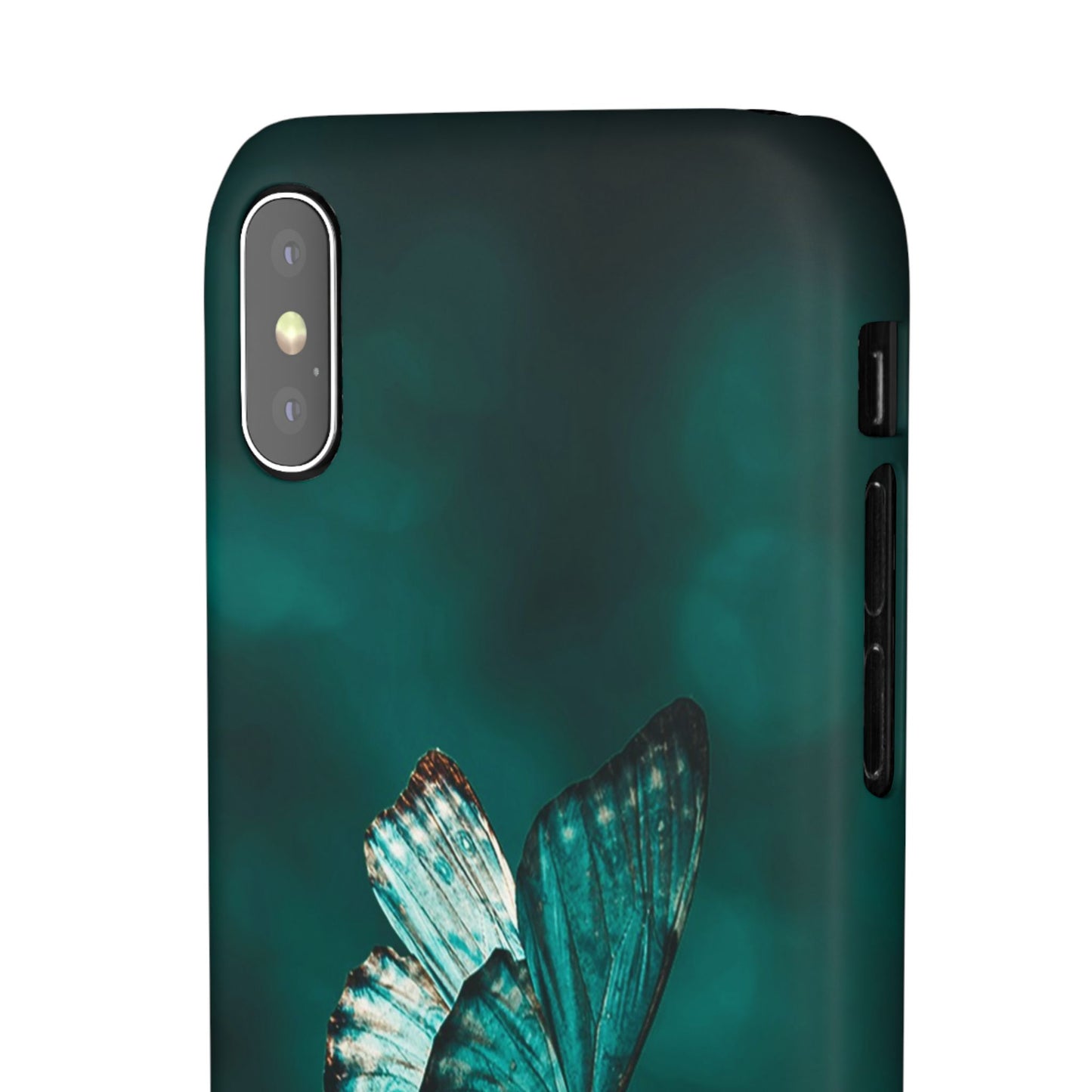 Butterfly Cajasol - Perfect for Nature Lovers