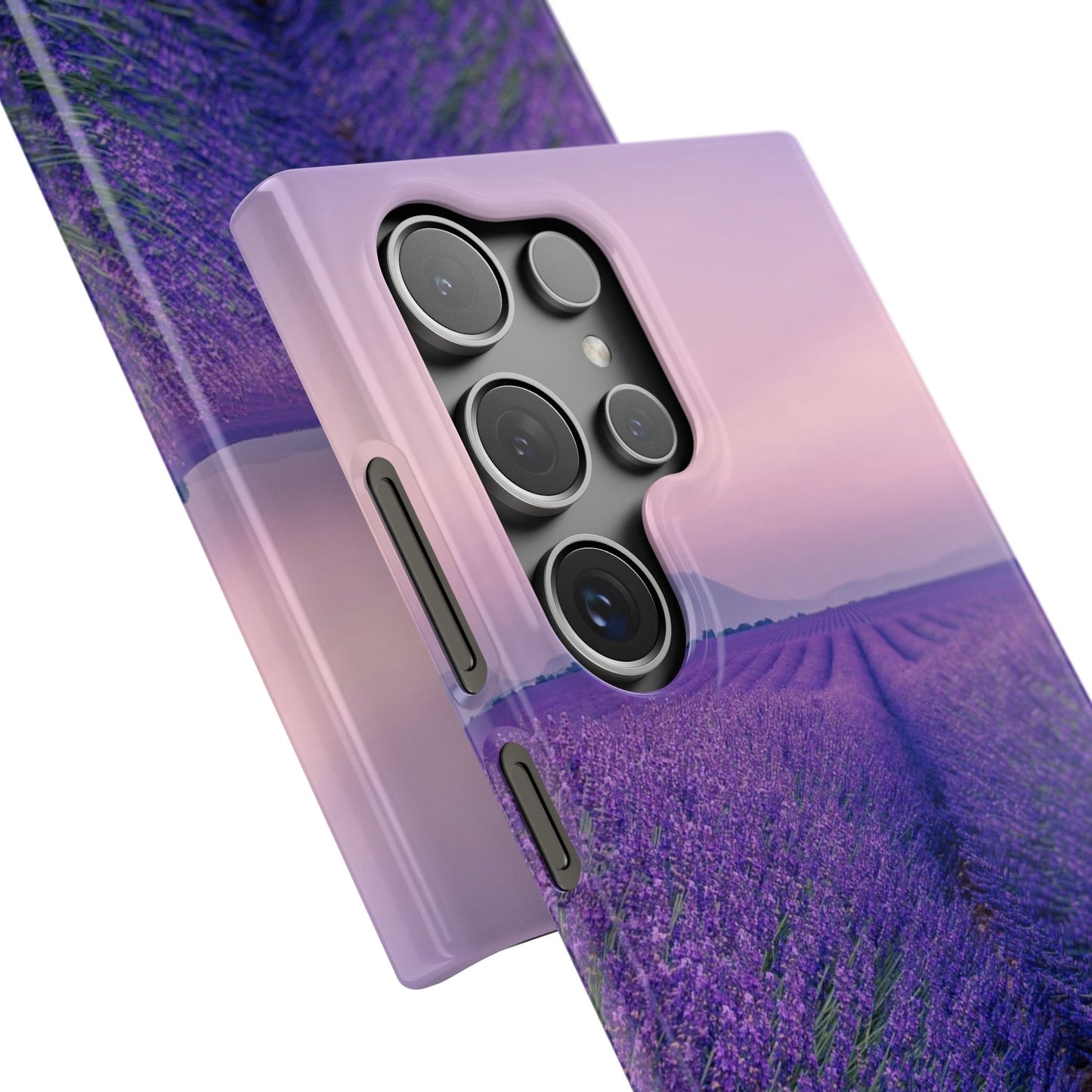 Lavender Fields Cajasol - A Floral Touch for Nature Lovers