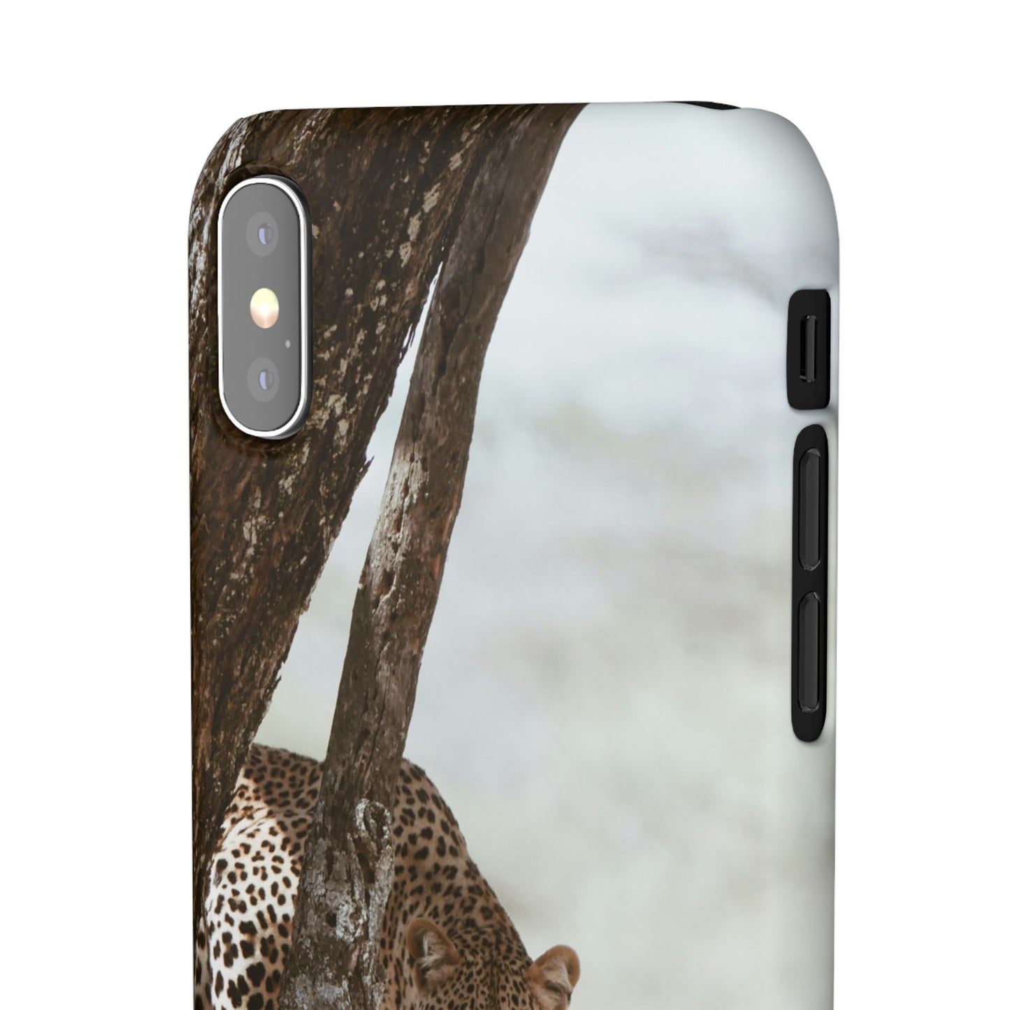 Leopard Cajasol - Wildlife Vibes