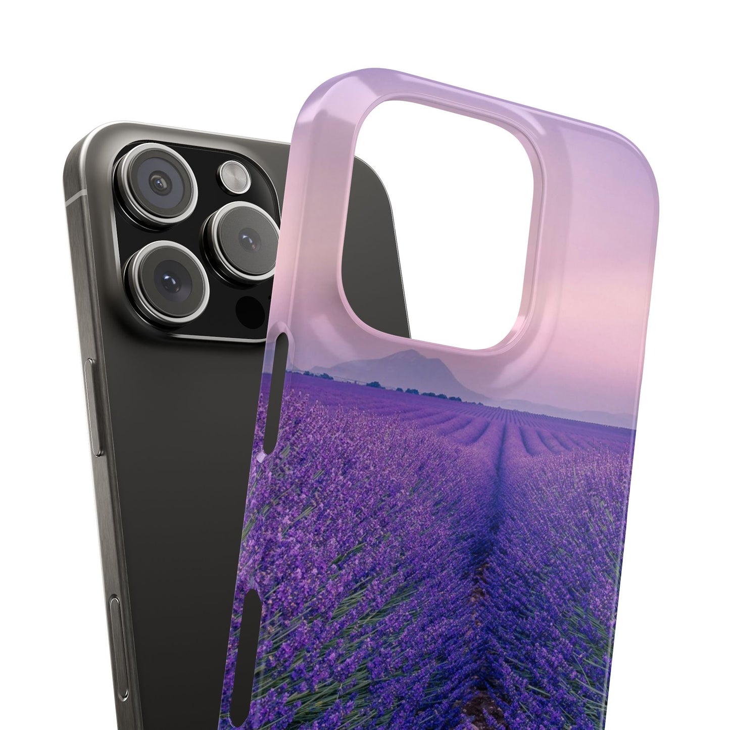 Lavender Fields Cajasol - A Floral Touch for Nature Lovers