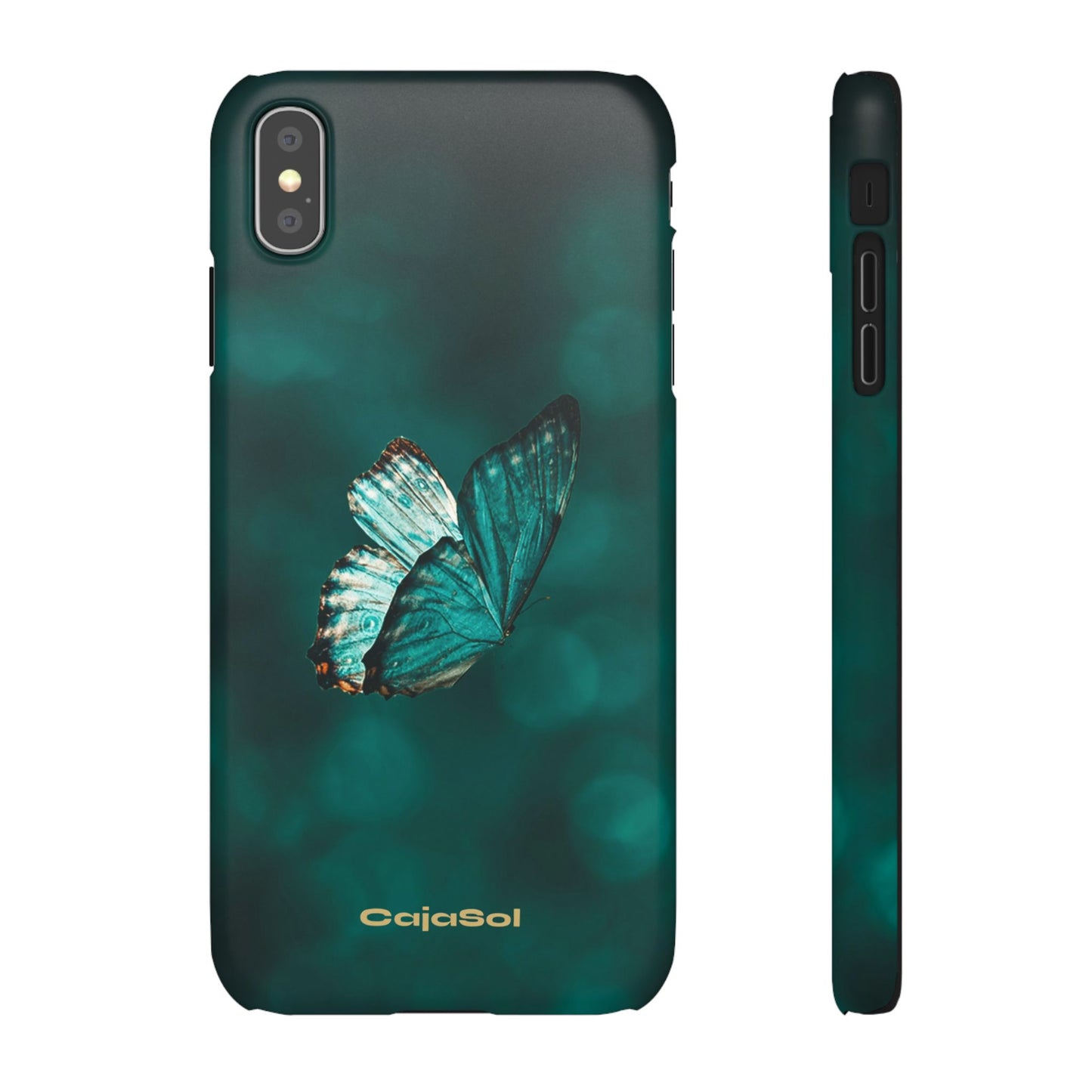 Butterfly Cajasol - Perfect for Nature Lovers