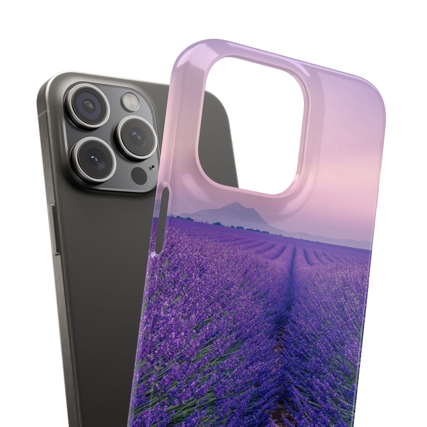 Lavender Fields Cajasol - A Floral Touch for Nature Lovers