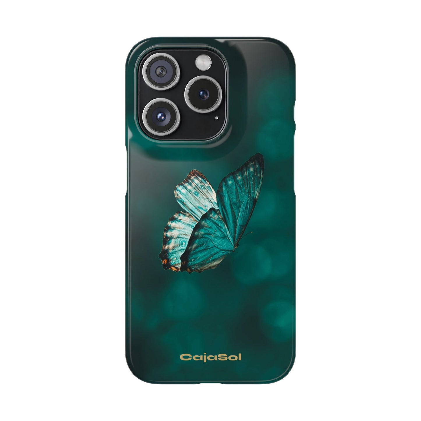 Butterfly Cajasol - Perfect for Nature Lovers