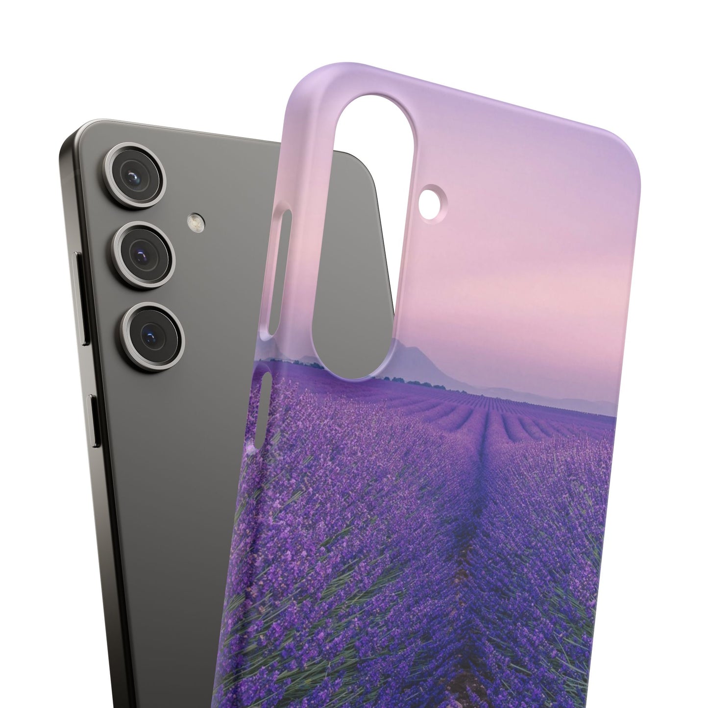 Lavender Fields Cajasol - A Floral Touch for Nature Lovers