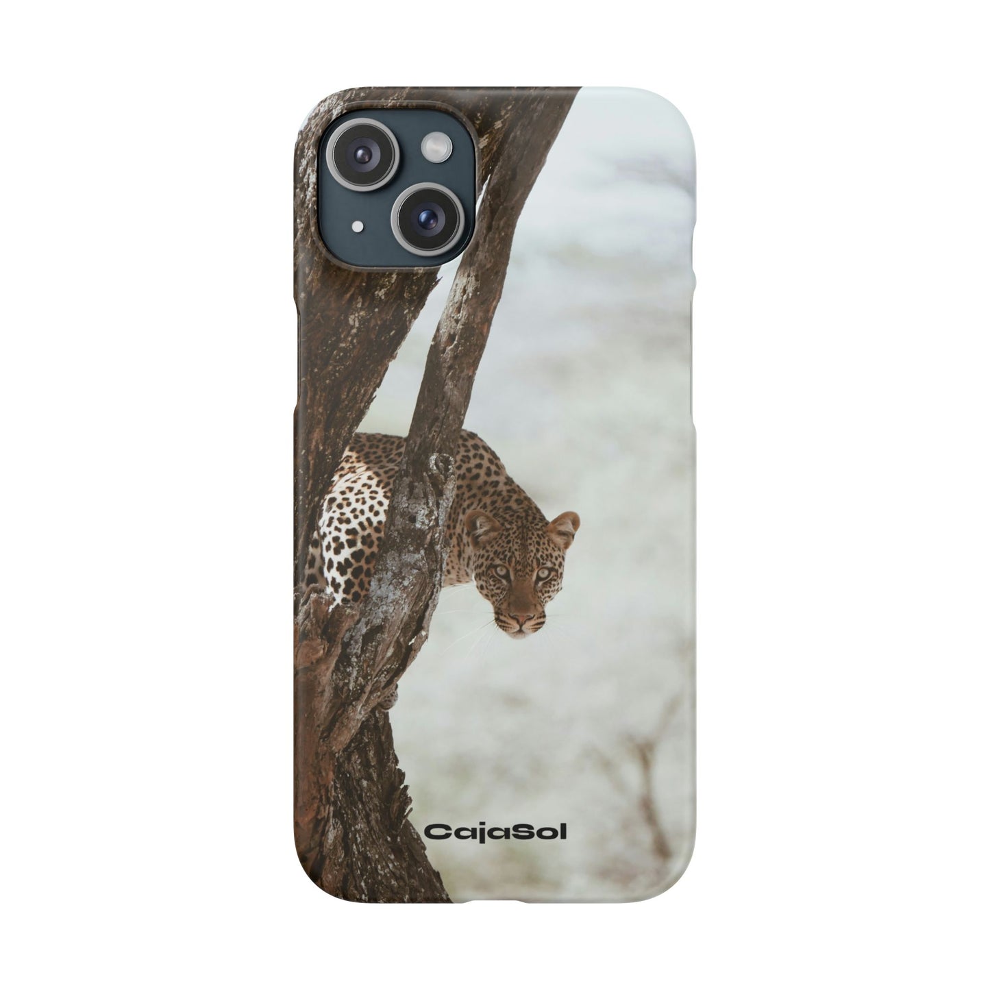 Leopard Cajasol - Wildlife Vibes
