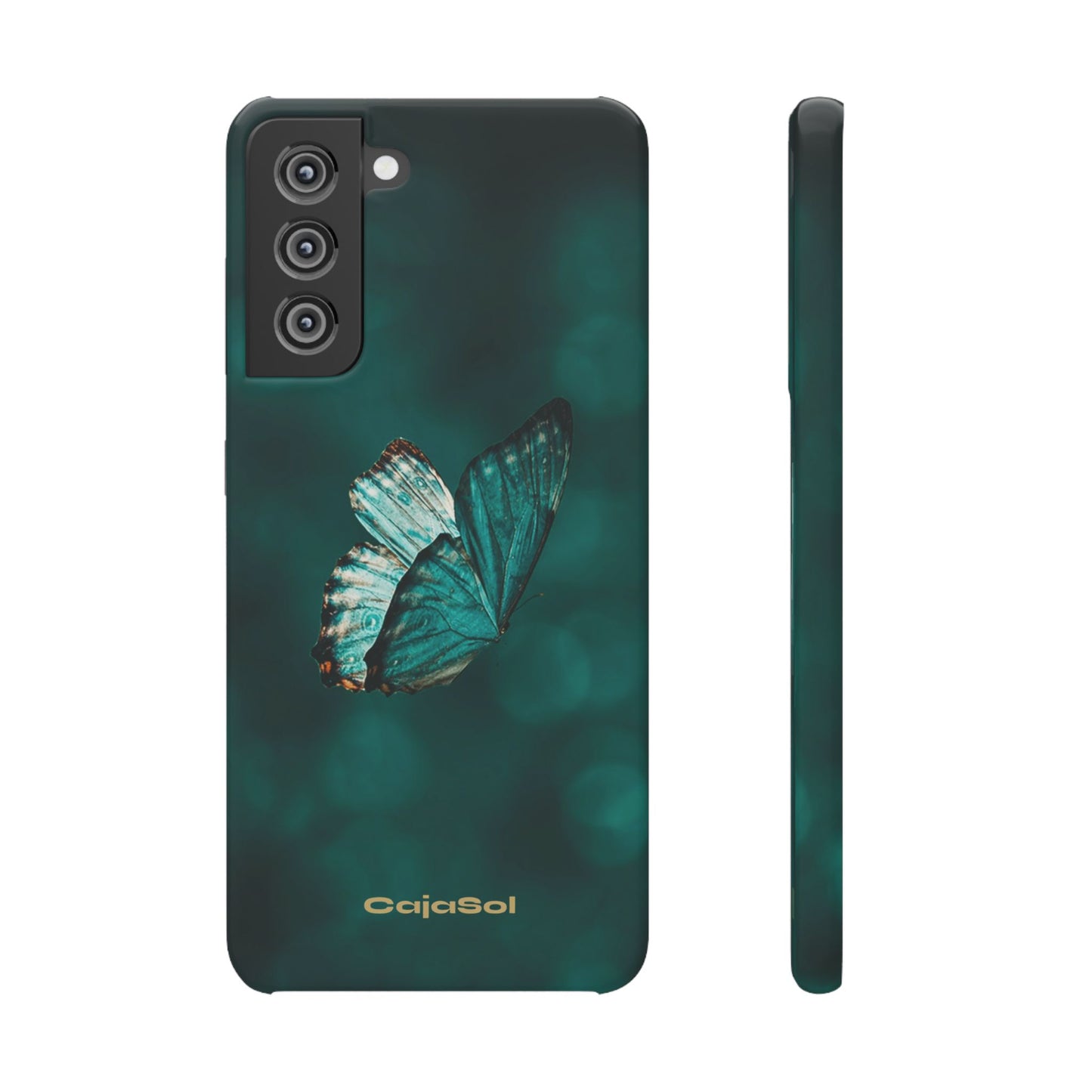 Butterfly Cajasol - Perfect for Nature Lovers