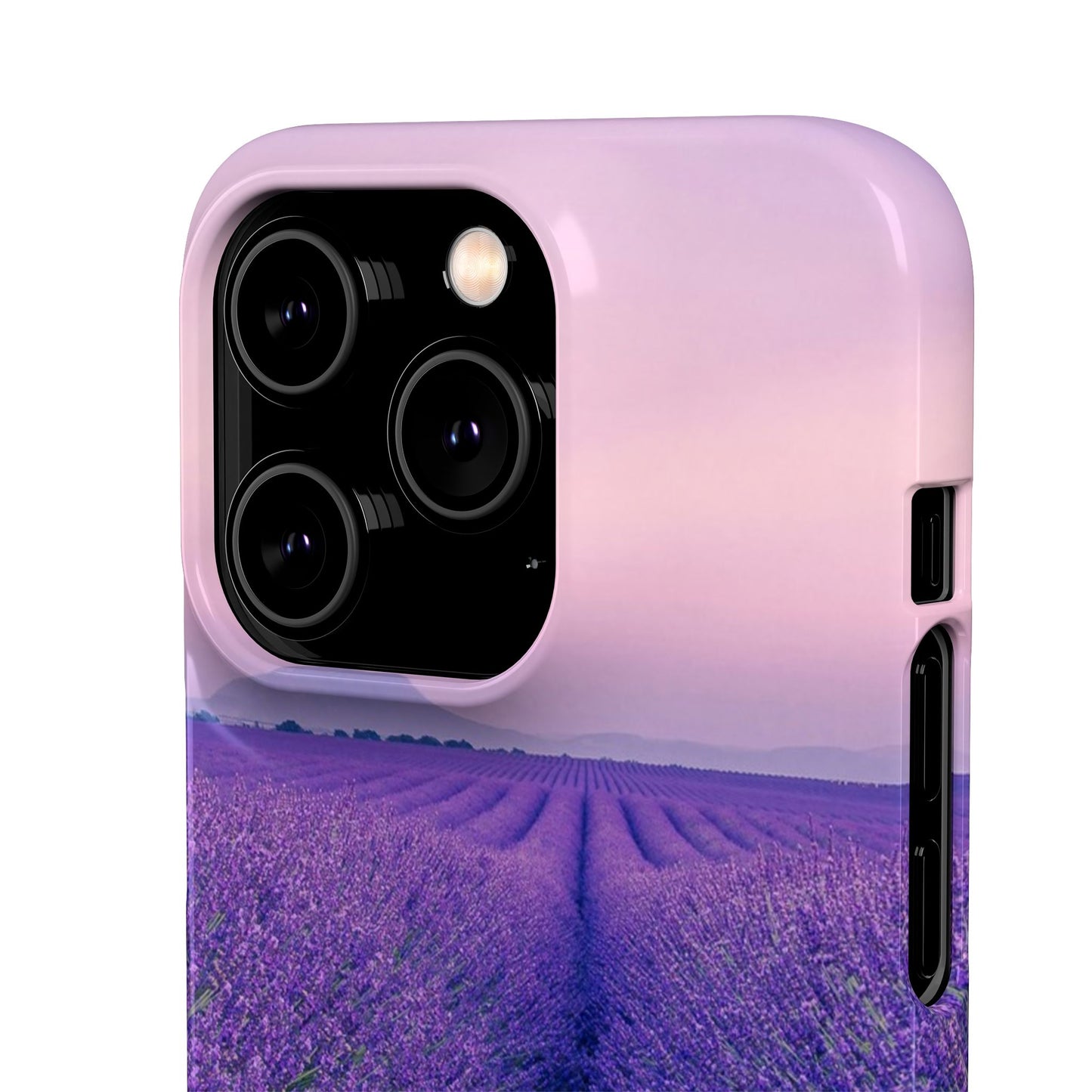 Lavender Fields Cajasol - A Floral Touch for Nature Lovers