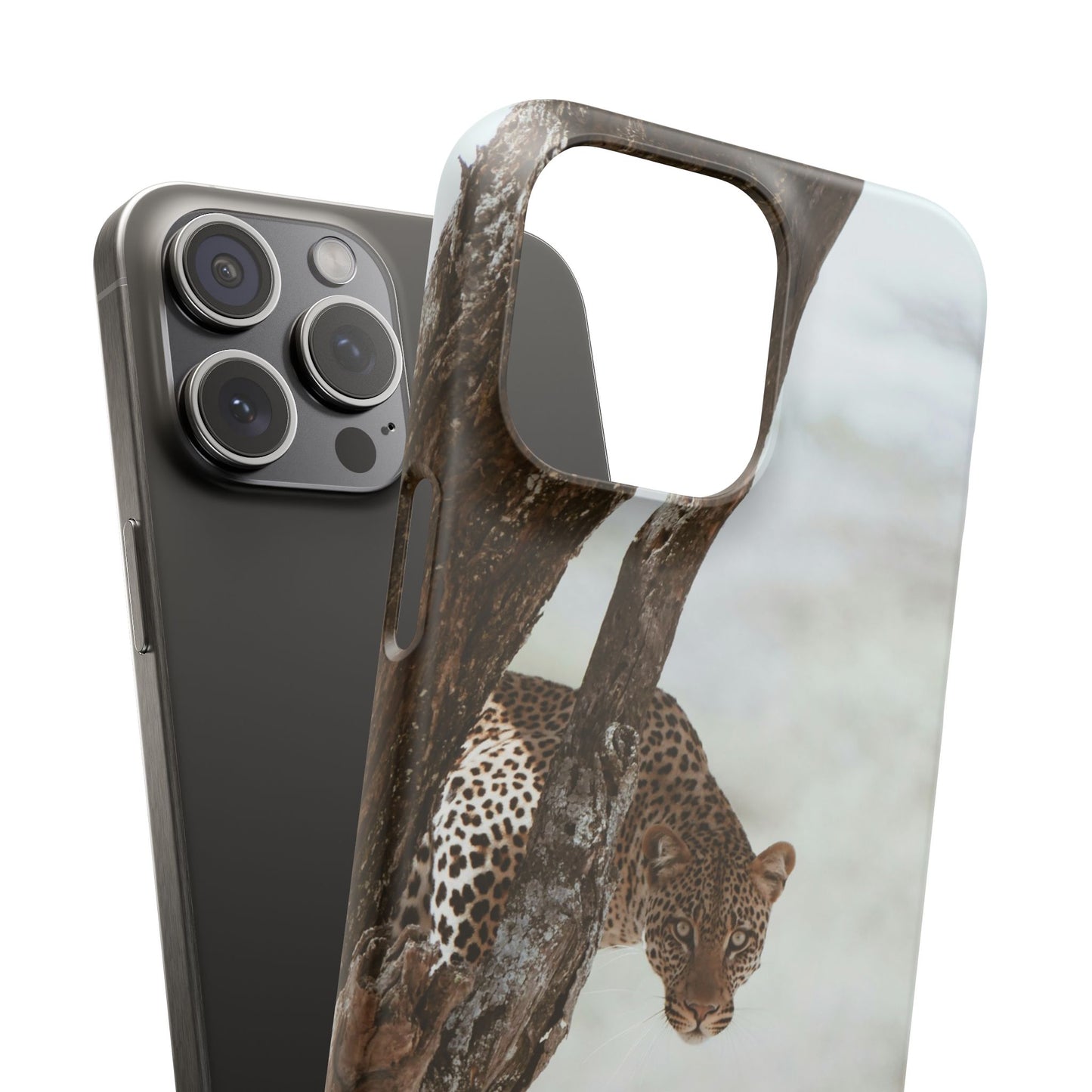 Leopard Cajasol - Wildlife Vibes