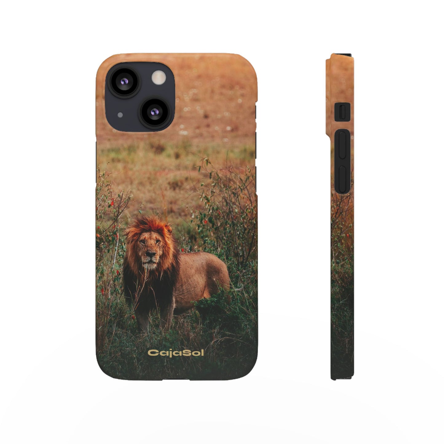 Majestic Lion Cajasol - Nature Inspired