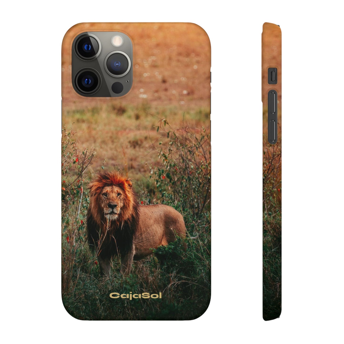 Majestic Lion Cajasol - Nature Inspired