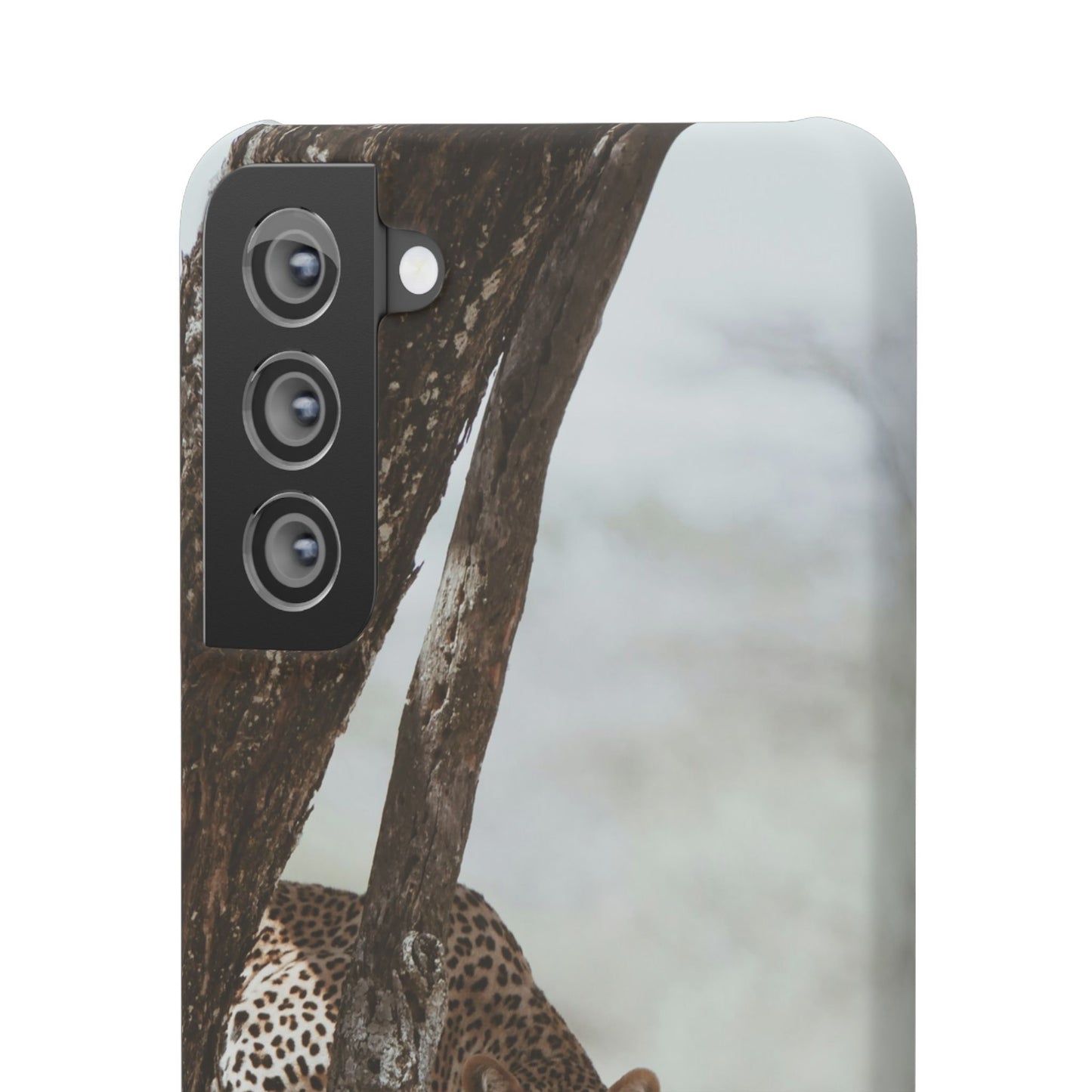 Leopard Cajasol - Wildlife Vibes