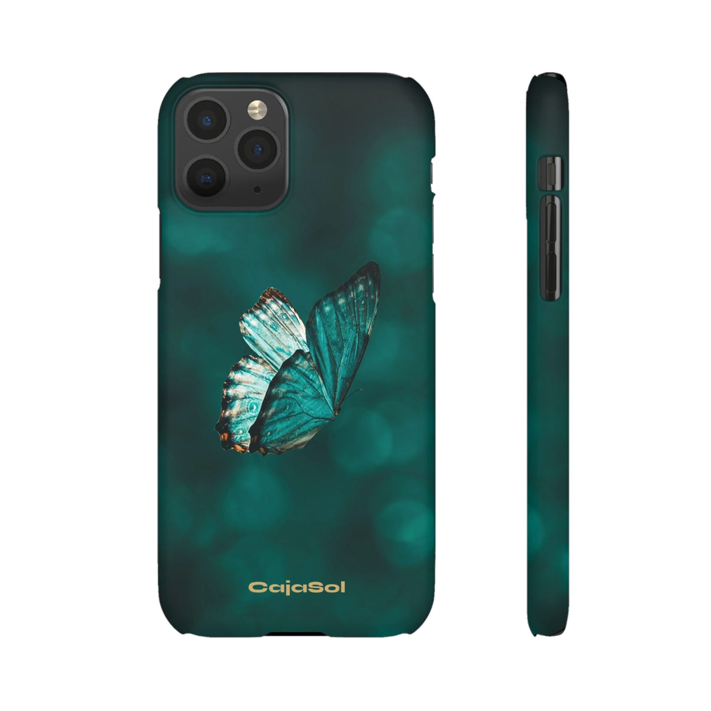 Butterfly Cajasol - Perfect for Nature Lovers