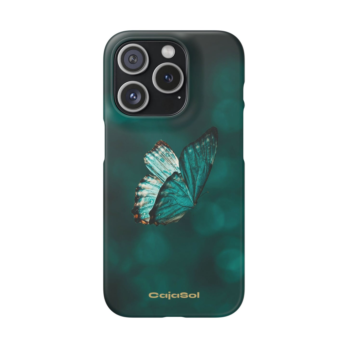 Butterfly Cajasol - Perfect for Nature Lovers