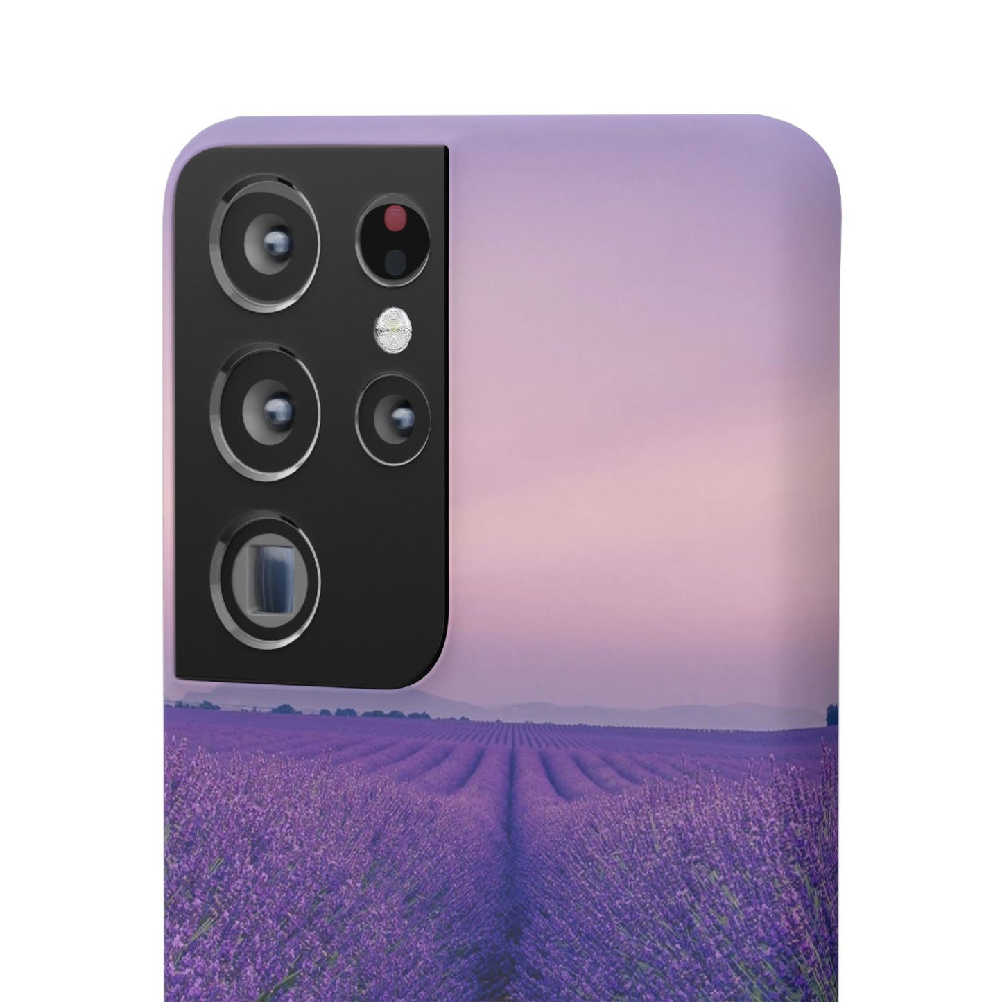 Lavender Fields Cajasol - A Floral Touch for Nature Lovers