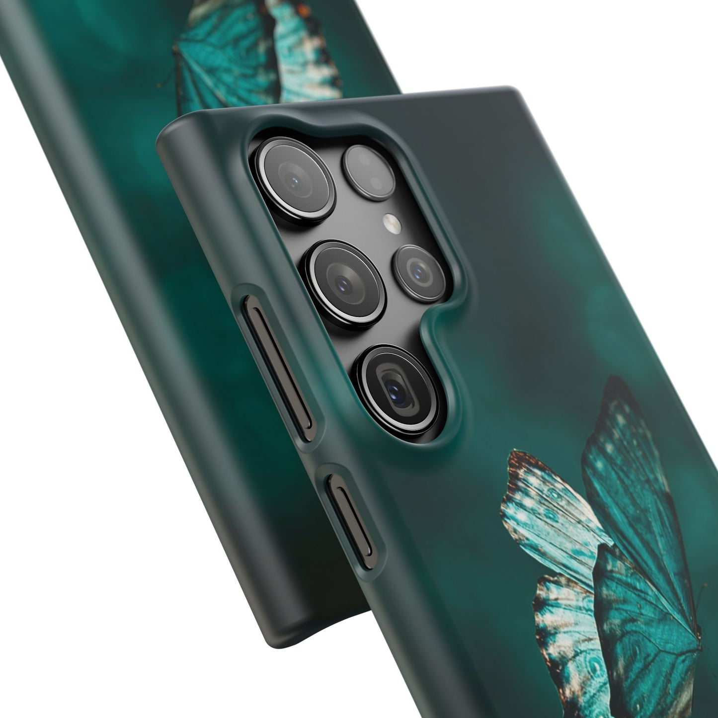 Butterfly Cajasol - Perfect for Nature Lovers