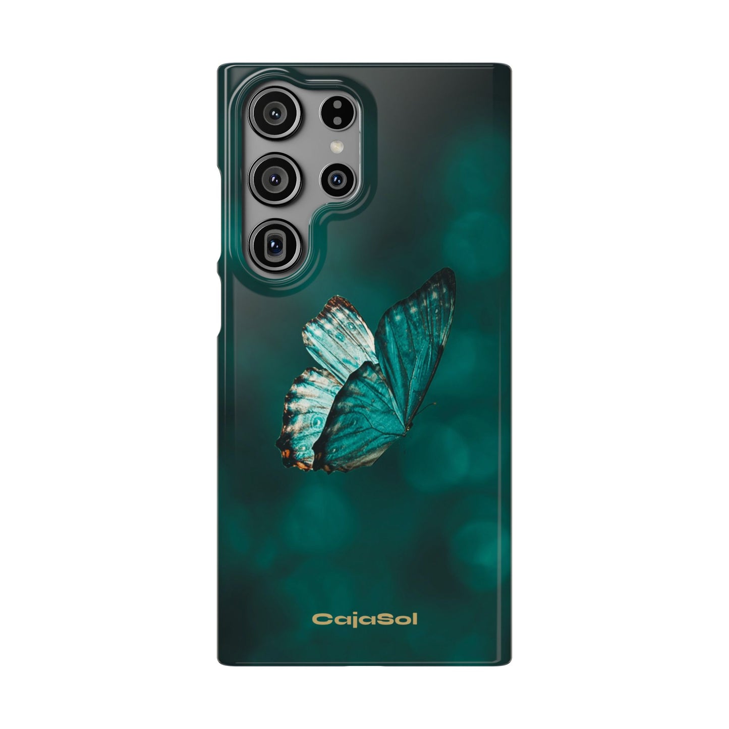 Butterfly Cajasol - Perfect for Nature Lovers