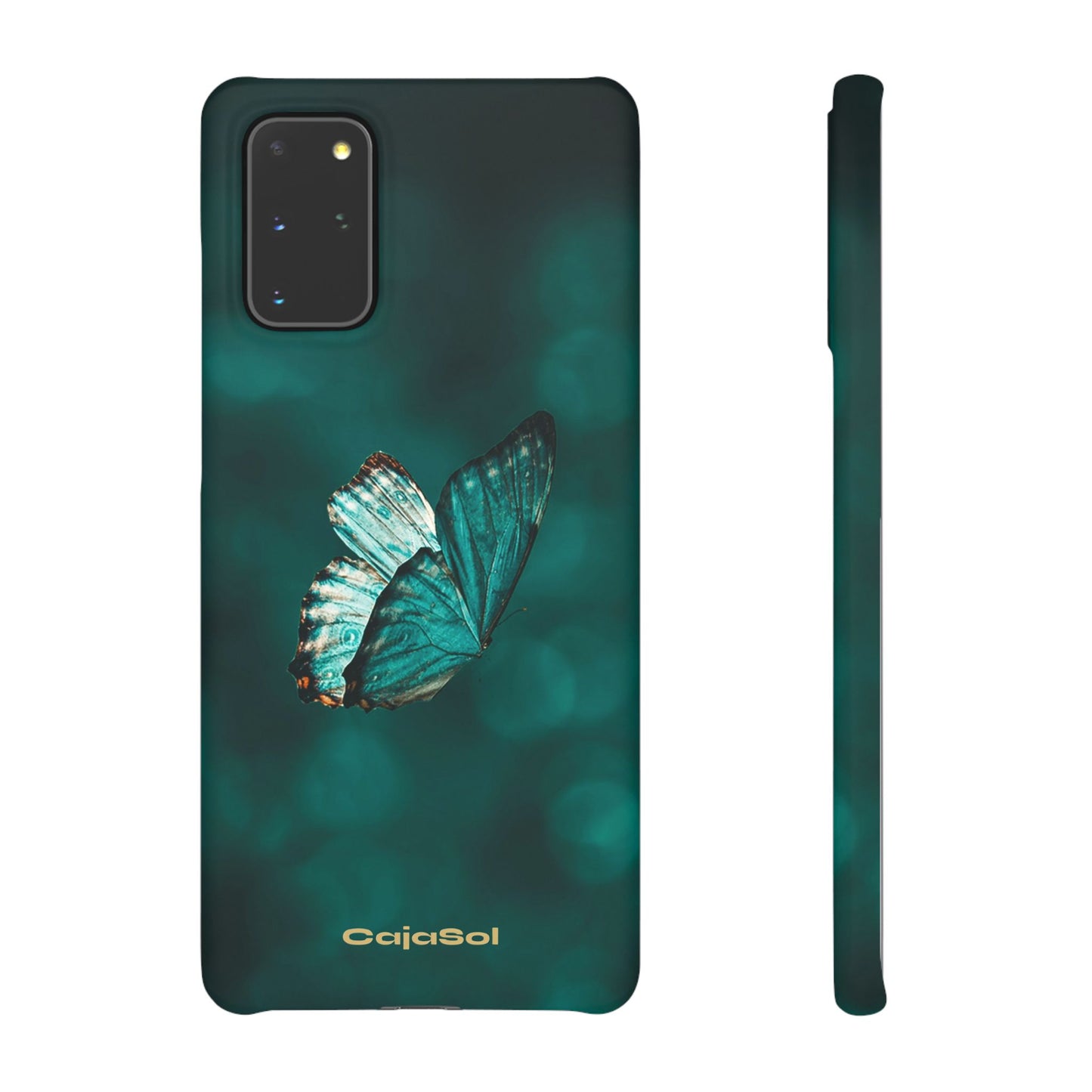 Butterfly Cajasol - Perfect for Nature Lovers