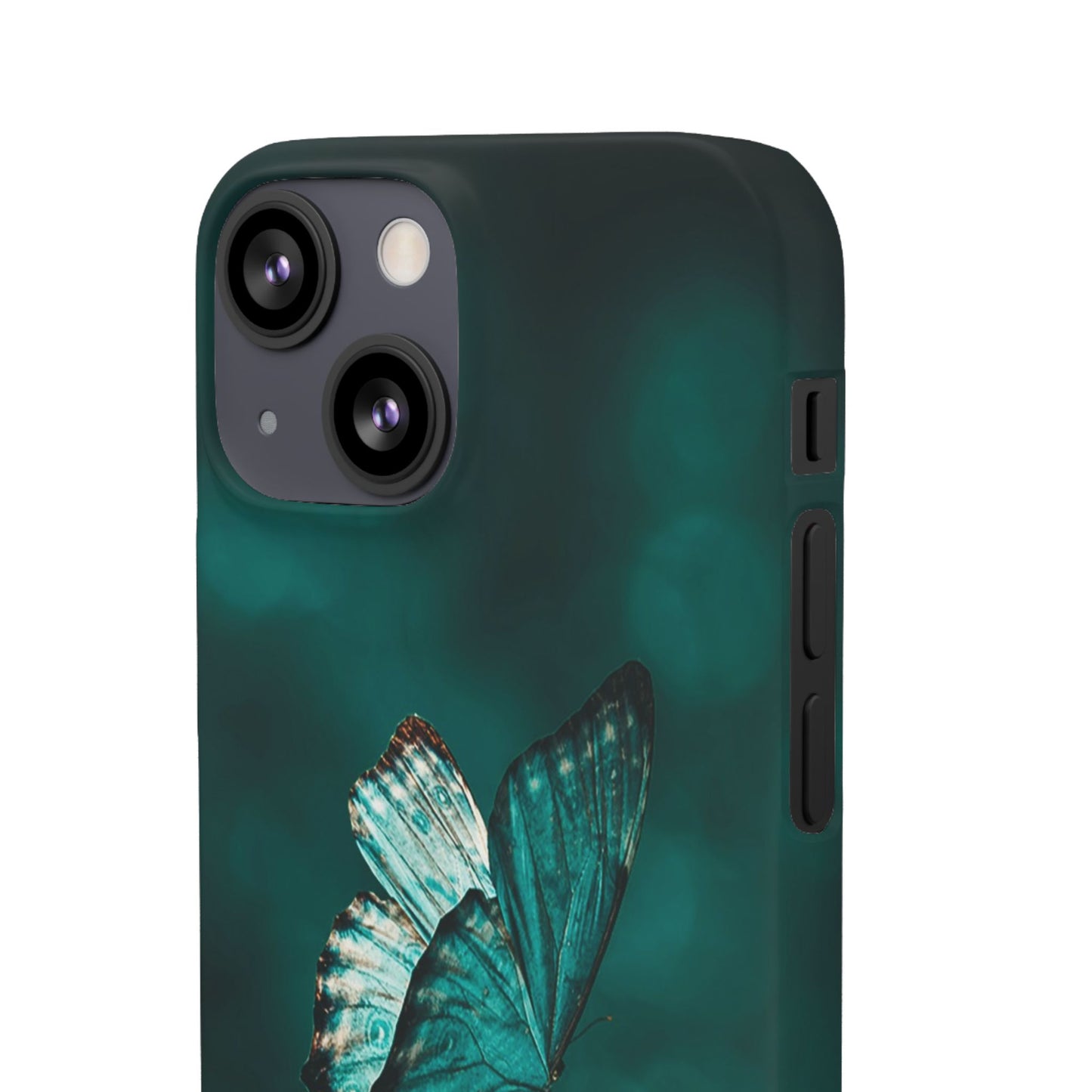Butterfly Cajasol - Perfect for Nature Lovers