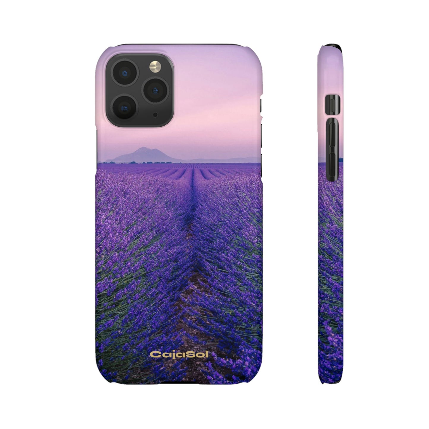 Lavender Fields Cajasol - A Floral Touch for Nature Lovers