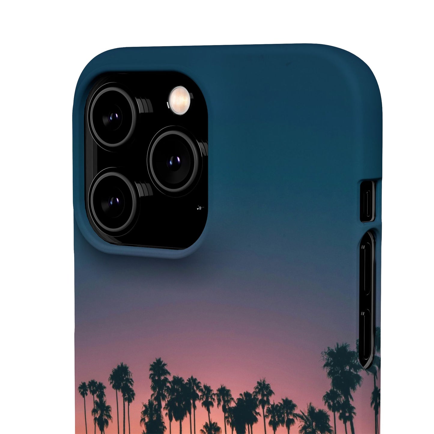 Tropical Sunset Cajasol - Vibrant Palm Tree
