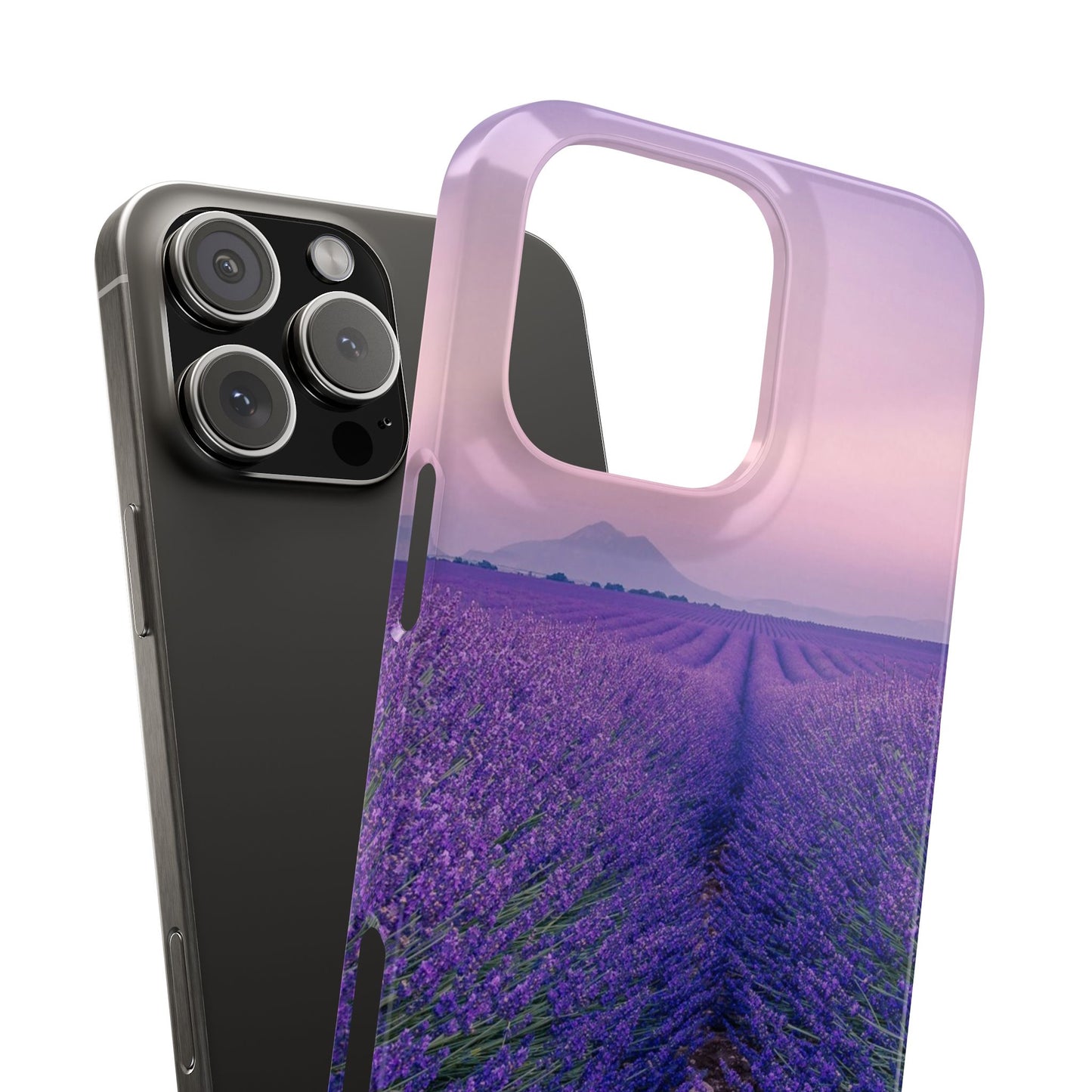Lavender Fields Cajasol - A Floral Touch for Nature Lovers