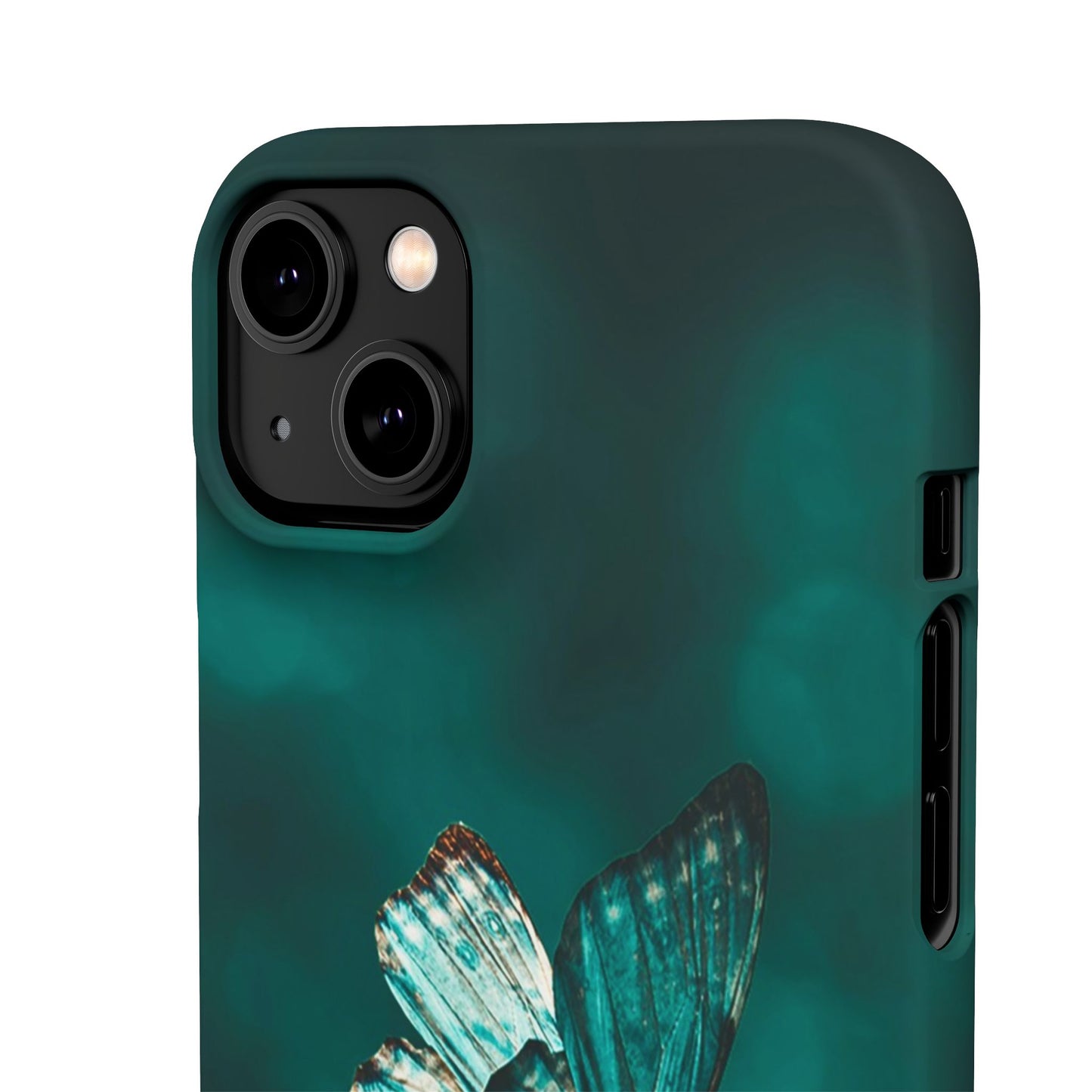 Butterfly Cajasol - Perfect for Nature Lovers
